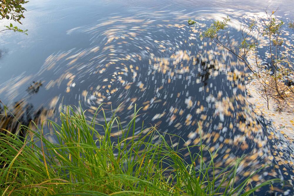  Die Birkenblätter auf der Wasseroberfläche kündigen an, dass sich die Forellenfischerei demnächst schlagartig verbessert. Die ideale Wassertemperatur ist um die 12° Grad.  