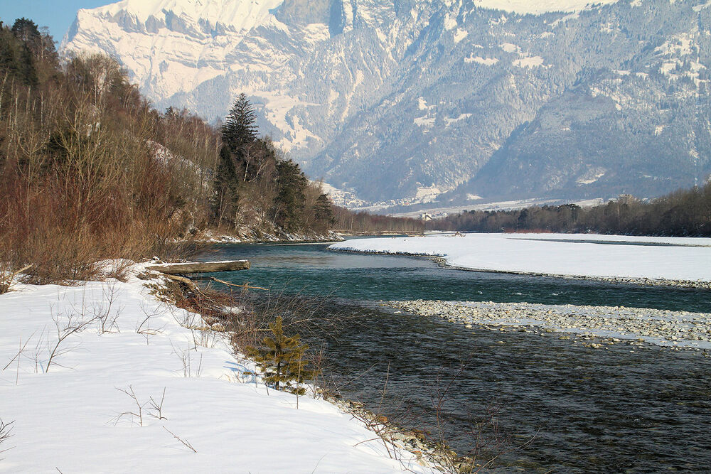  Einst ein Fischerparadies mag der winterliche Alpenrhein heute nur noch optisch zu überzeugen.  