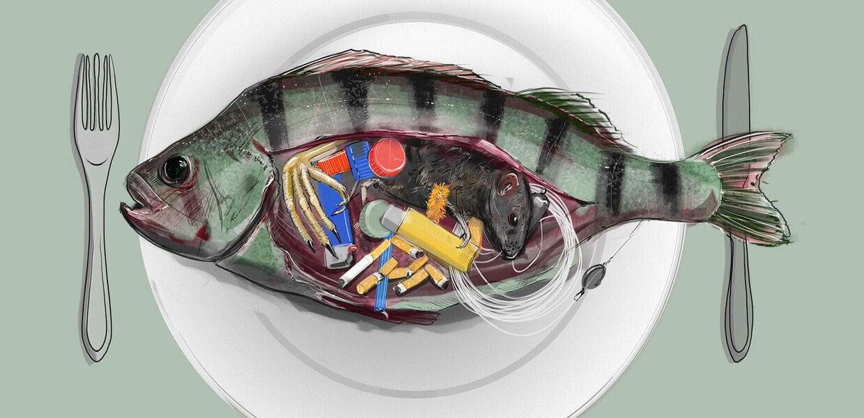 Fish happens