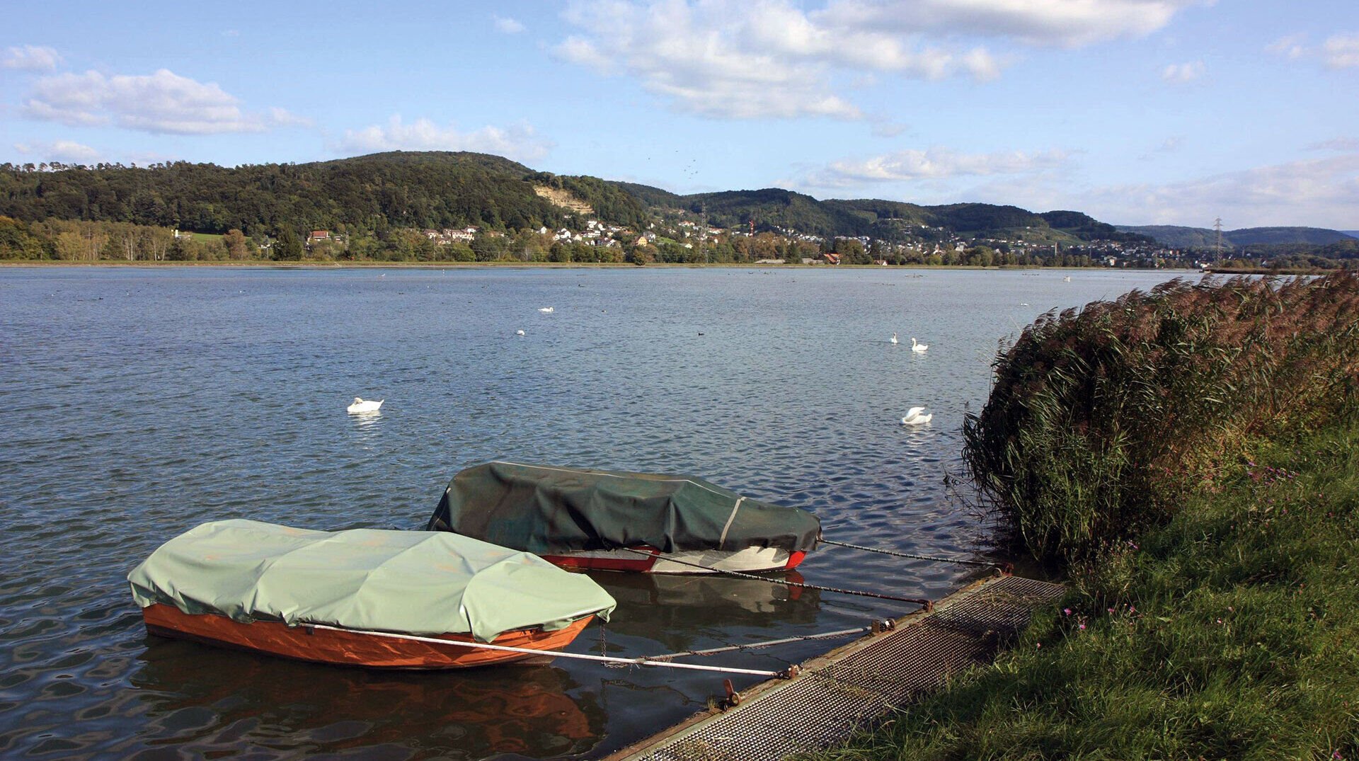 Klingnauer Stausee [– Wegweisender Sieg der Aargauer Fischer]