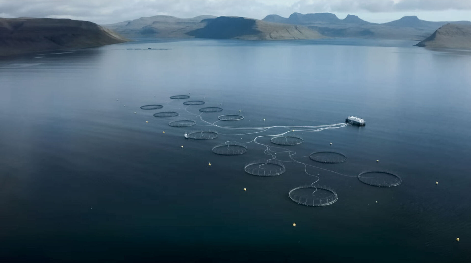 Neuer Patagonia-Film beleuchtet die Lachszucht