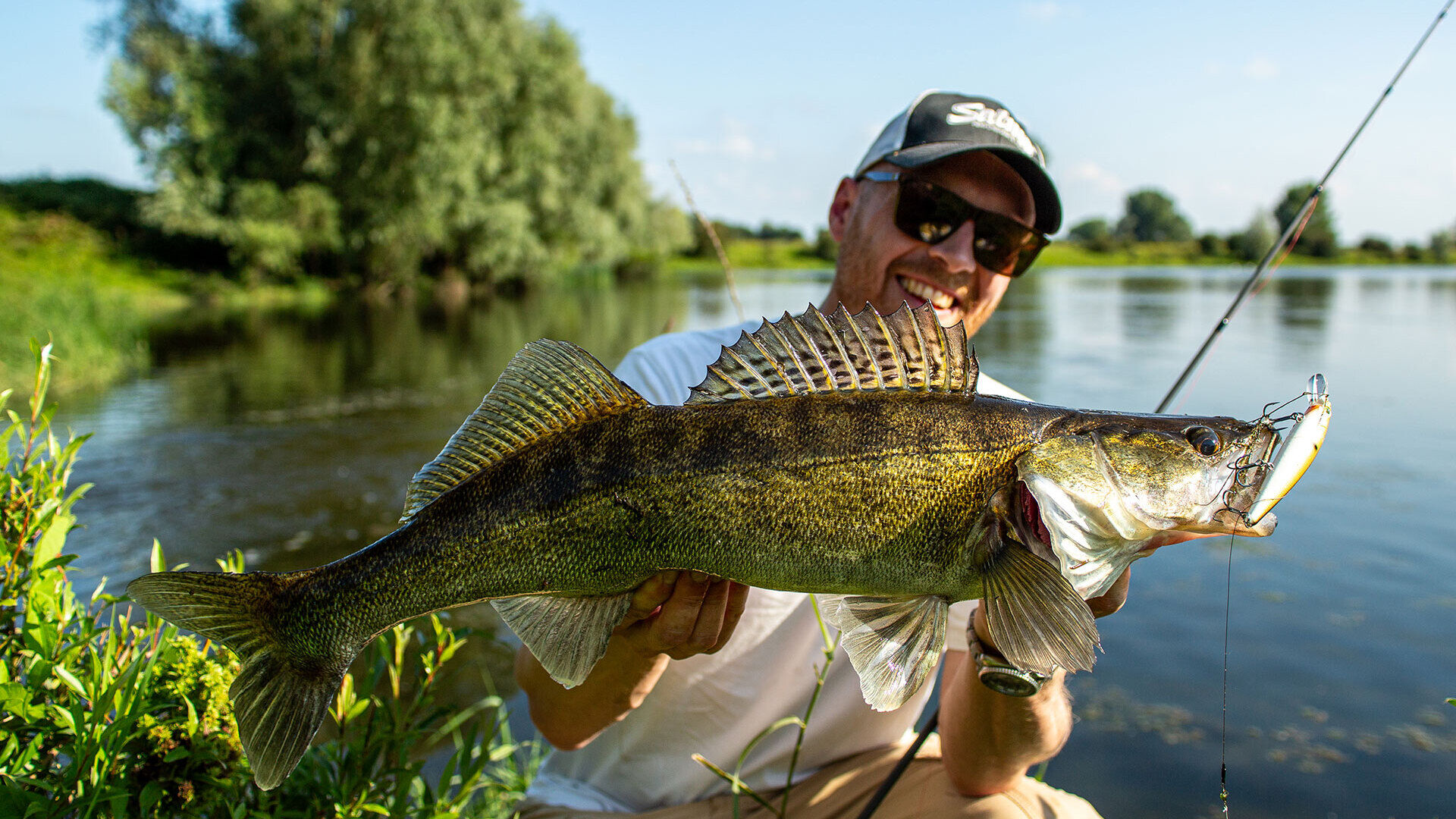 Mit Twitchbaits auf Zander