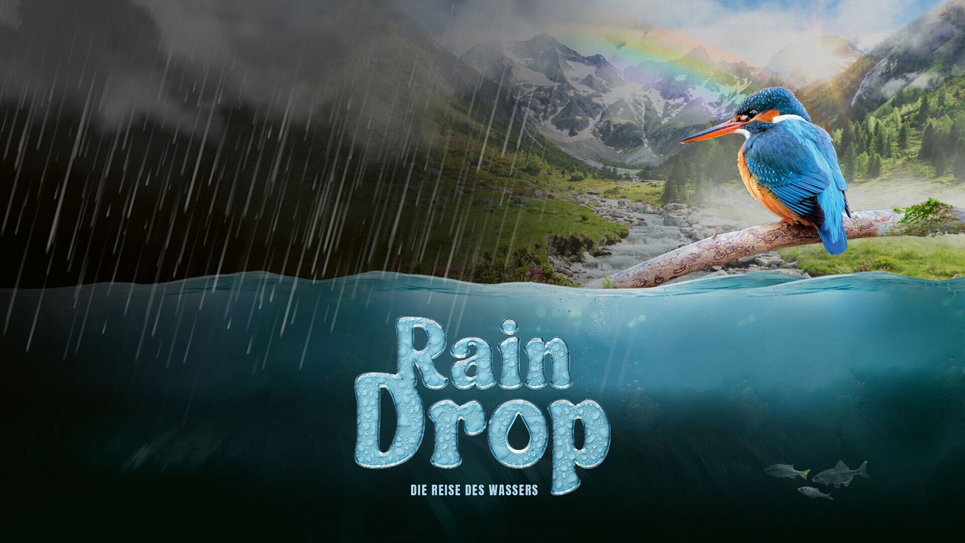 [Naturfilm:<br/>]Raindrop – Die Reise des Wassers