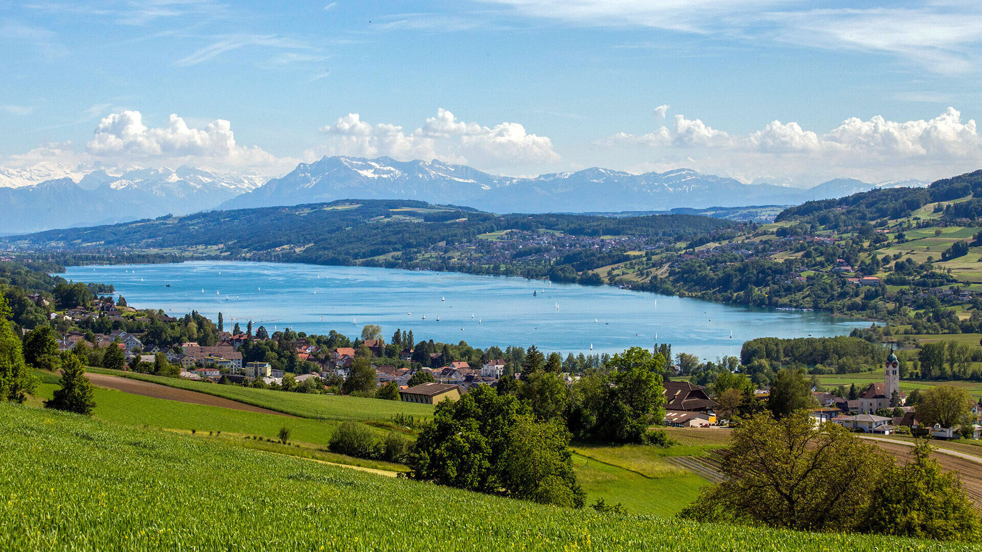 Wenn es ohne Besatz (noch) nicht geht