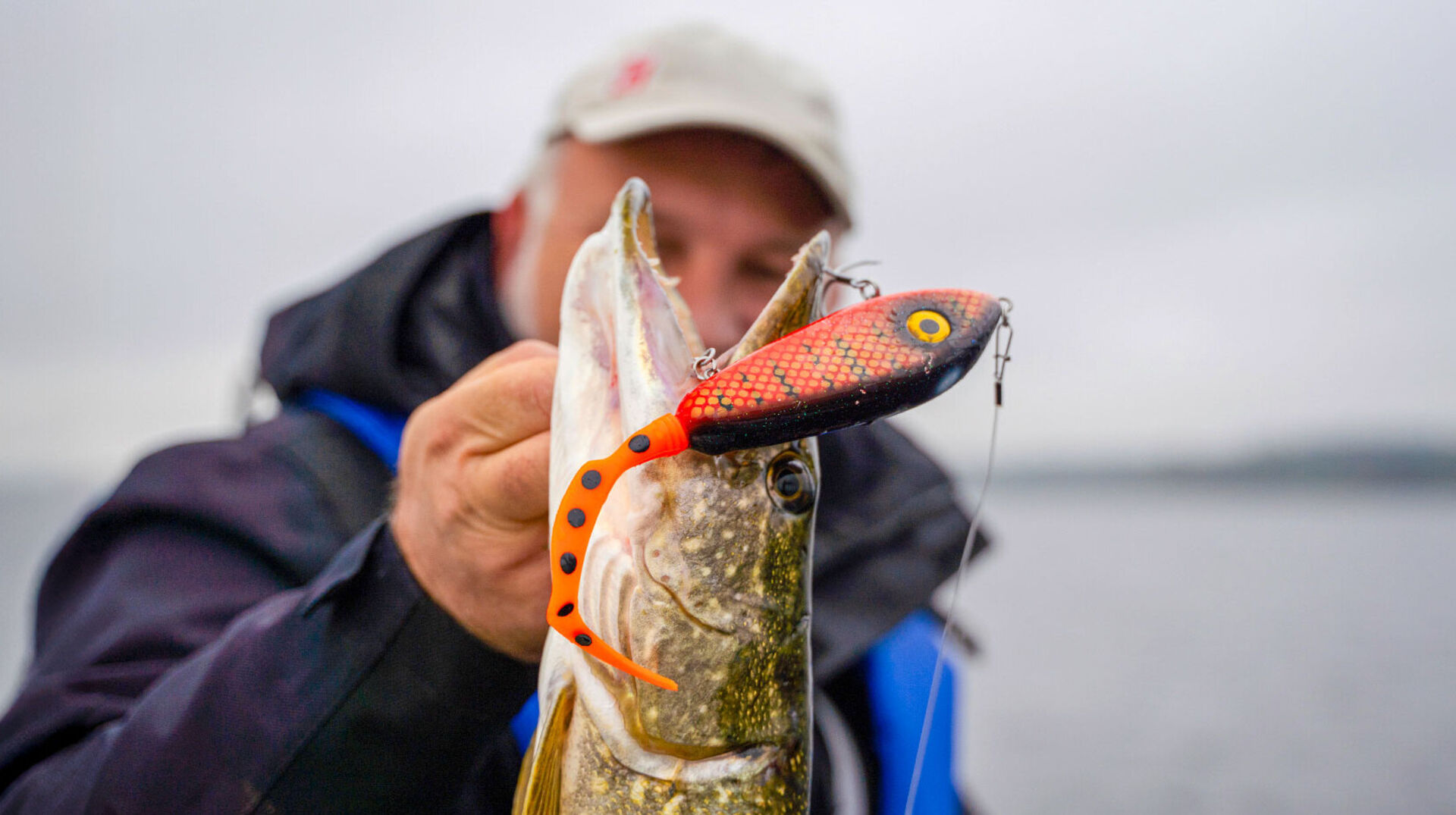 [Tailbaits:] <br/>Halb Jerkbait und halb Twister