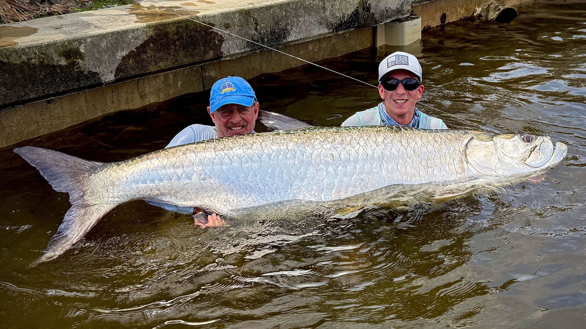 Faszination Tarpon
