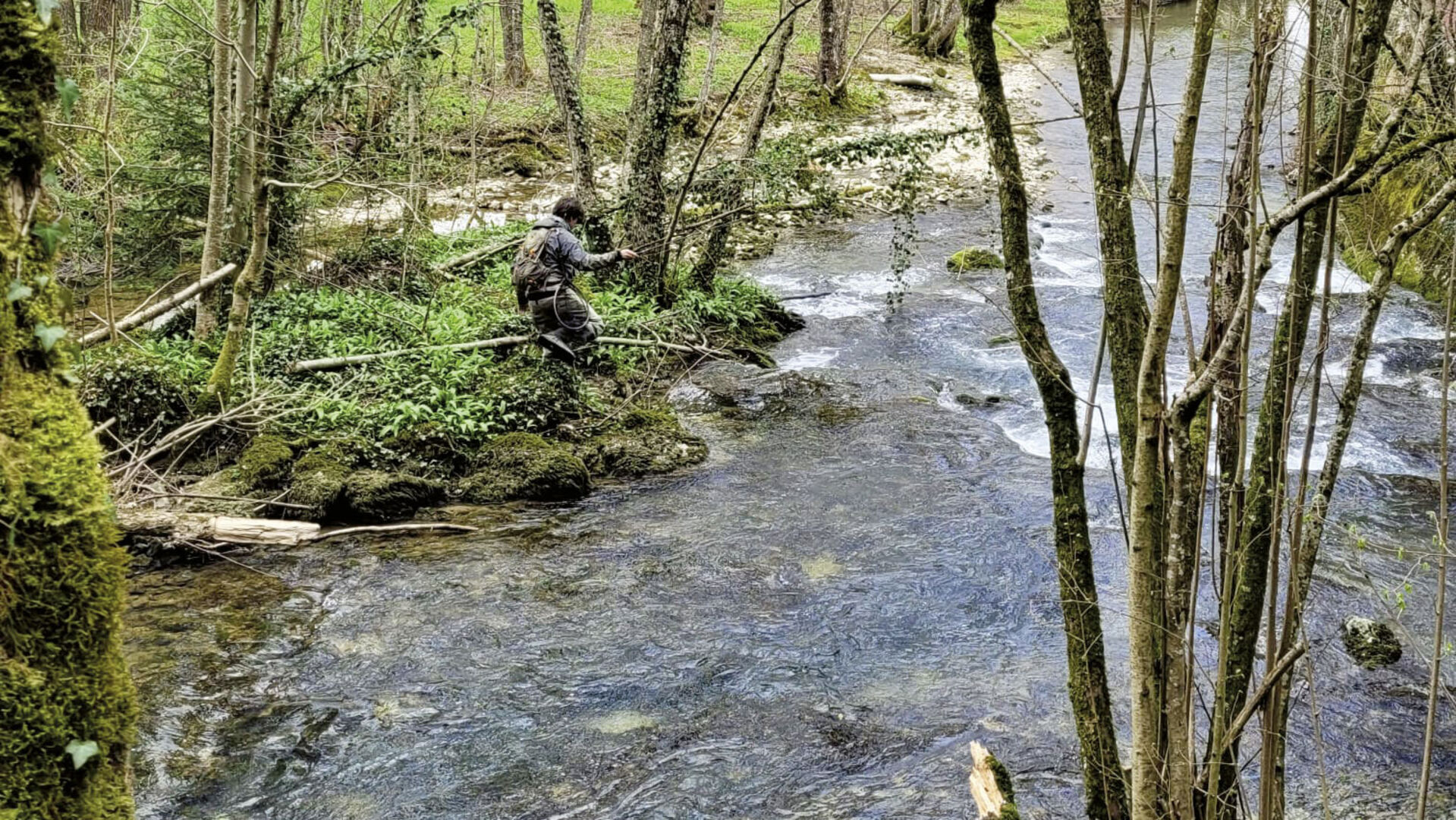 Vielversprechendes Forellenfischen im Kanton Jura