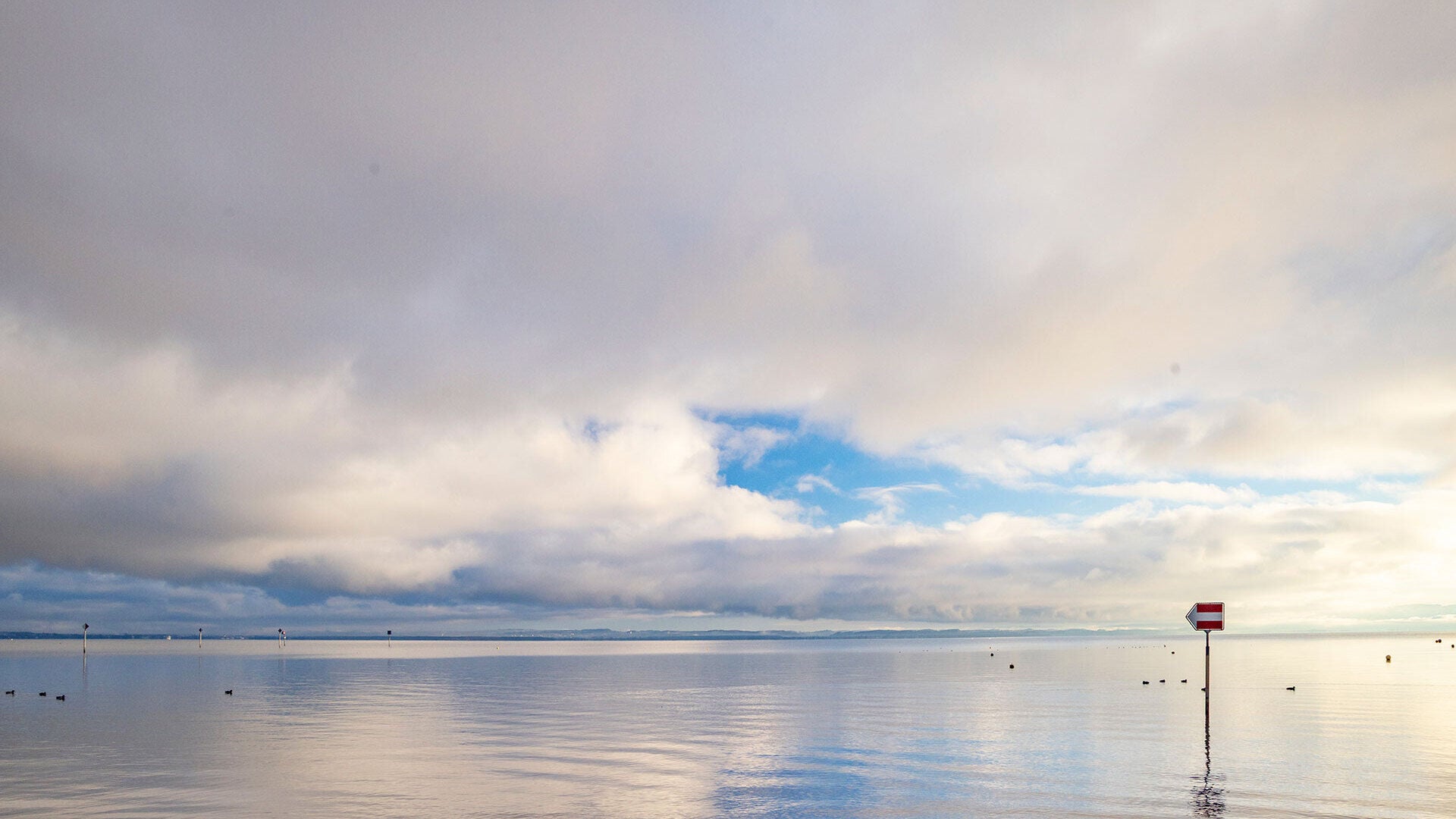 Bodensee: Neues Seeforellen-Schonmass 60 cm