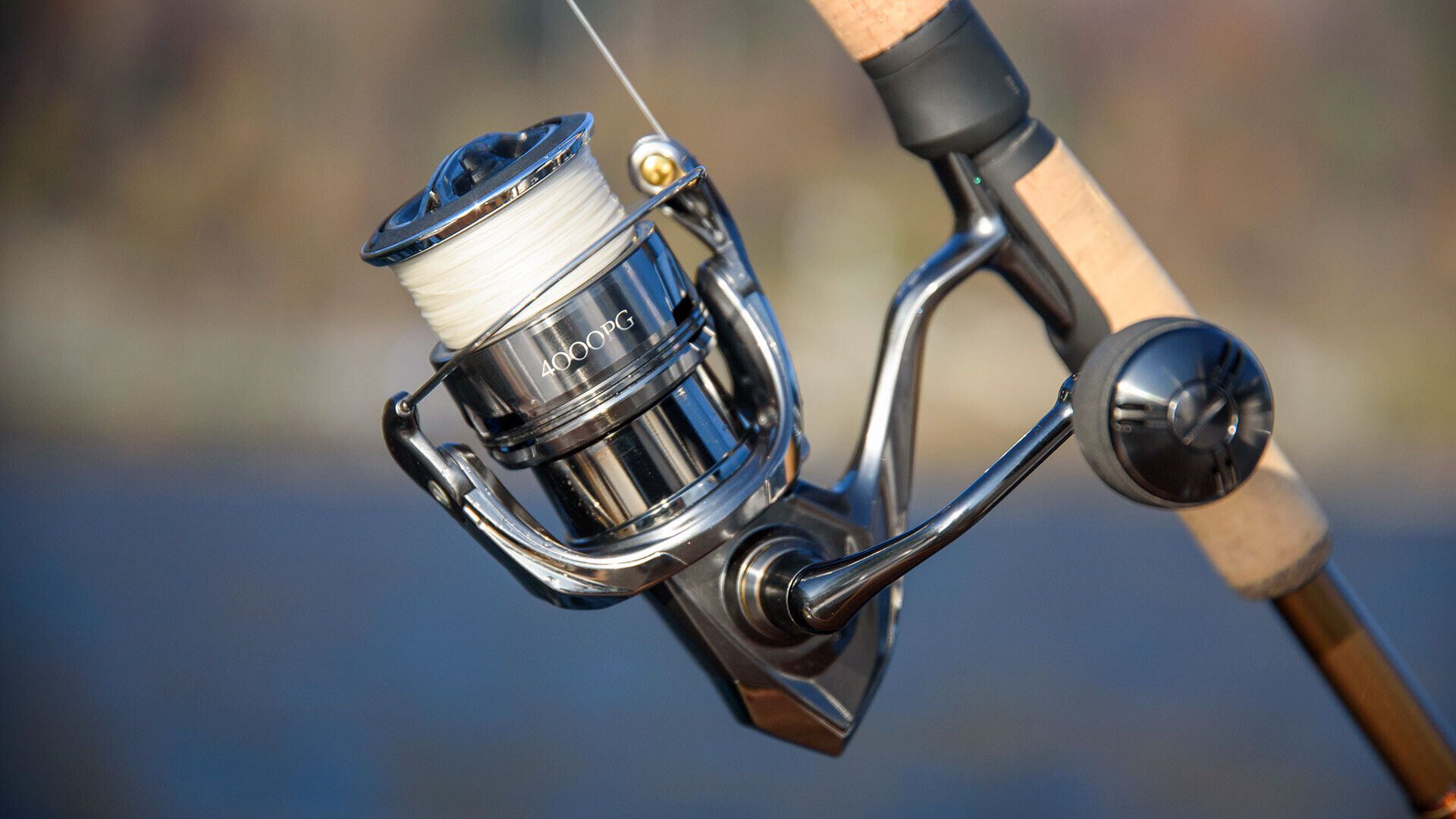 Die richtige Übersetzung bei Spinn- und Multirollen