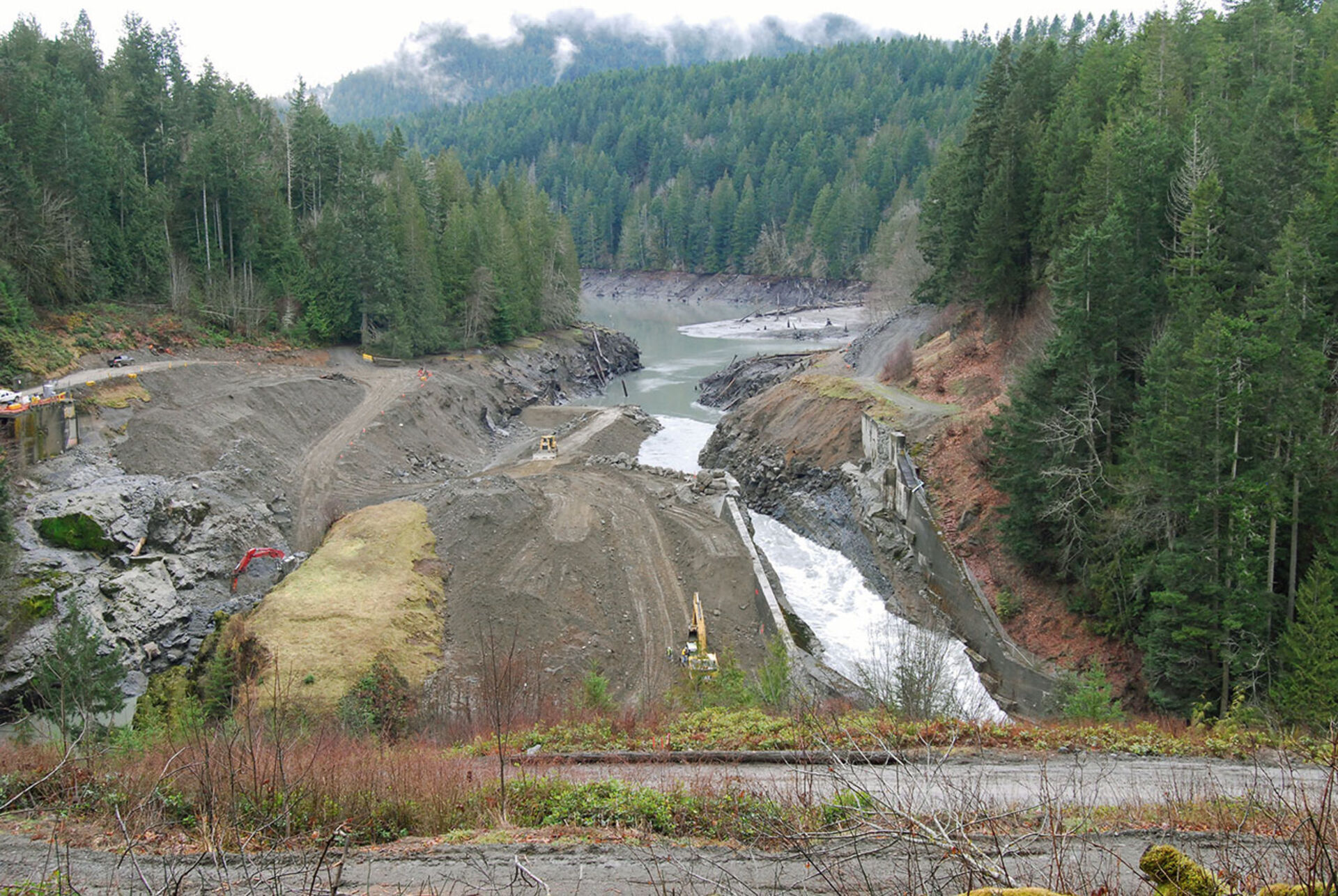  Am Fluss Elwha im Bundesstaat Washington wurde für die Rückkehr der Lachse ein Damm rückgebaut. © Ben Cody | wikipedia.org  