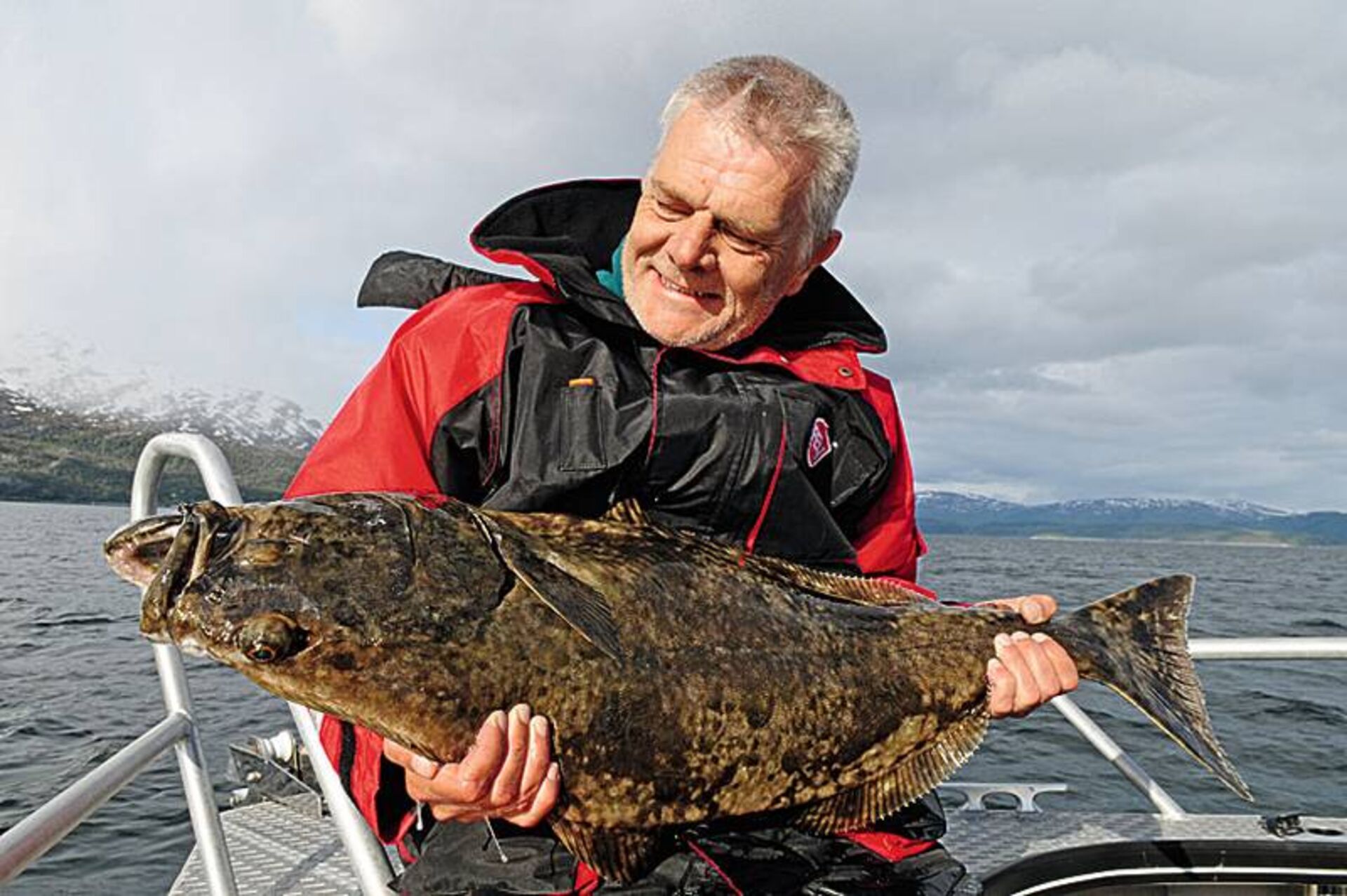  Auch das kann beim Schleppen auf Meerforelle in Norwegen passieren. Ein «kleiner» Heilbutt hat sich den Rapala Deep Tail Dancer geschnappt.  