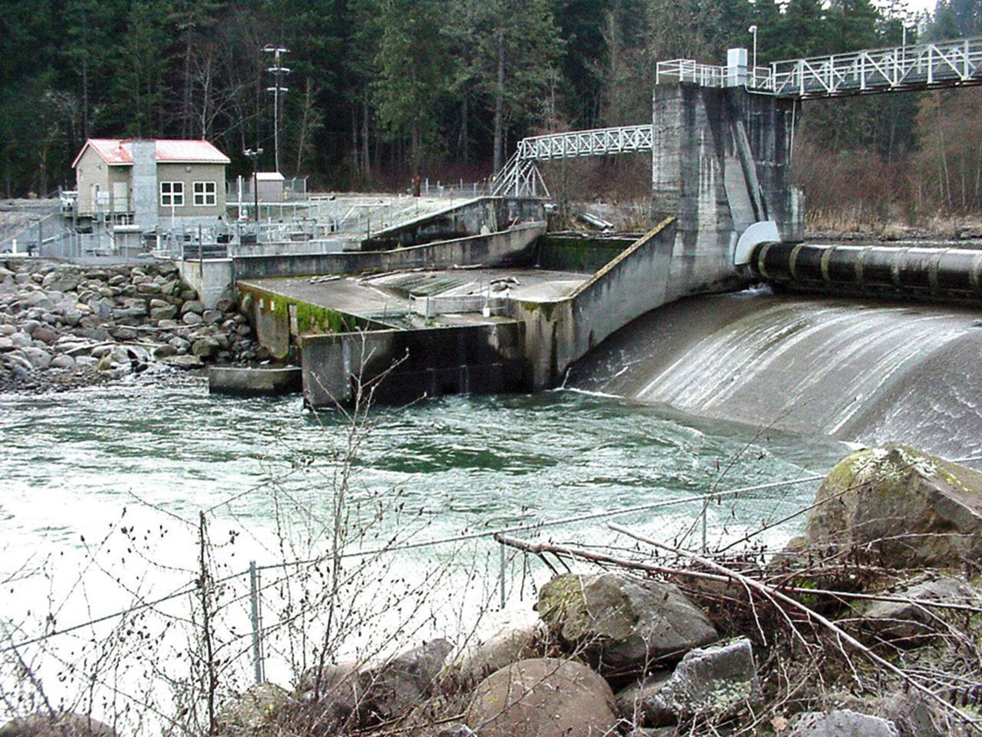  Zu Gunsten der Steelheads wurde der Powerdale Dam am Hood River 2010 abgebrochen.  