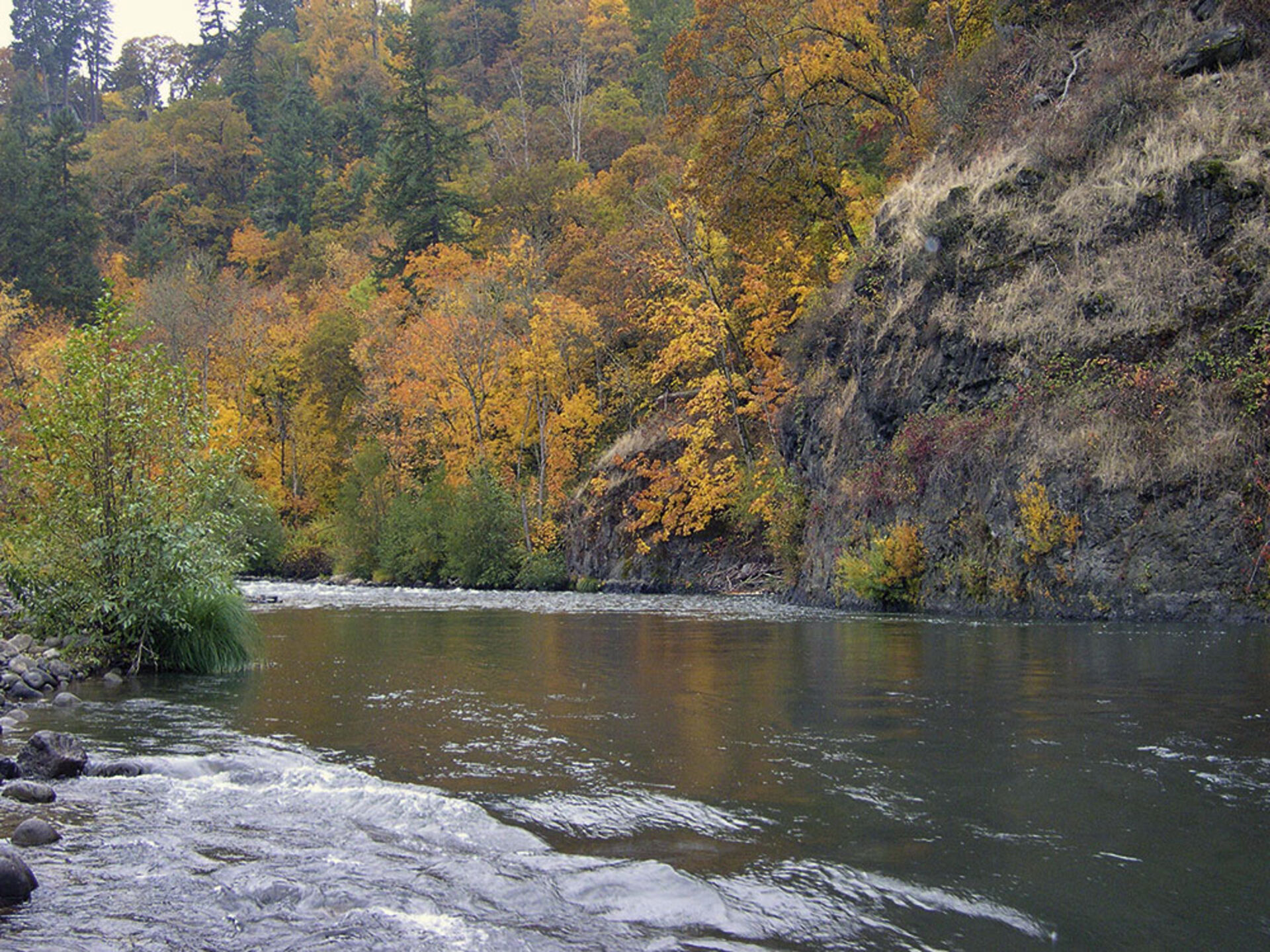  Der Hood River in Oregon, USA ist ein bekannter Steelhead-Fluss.  