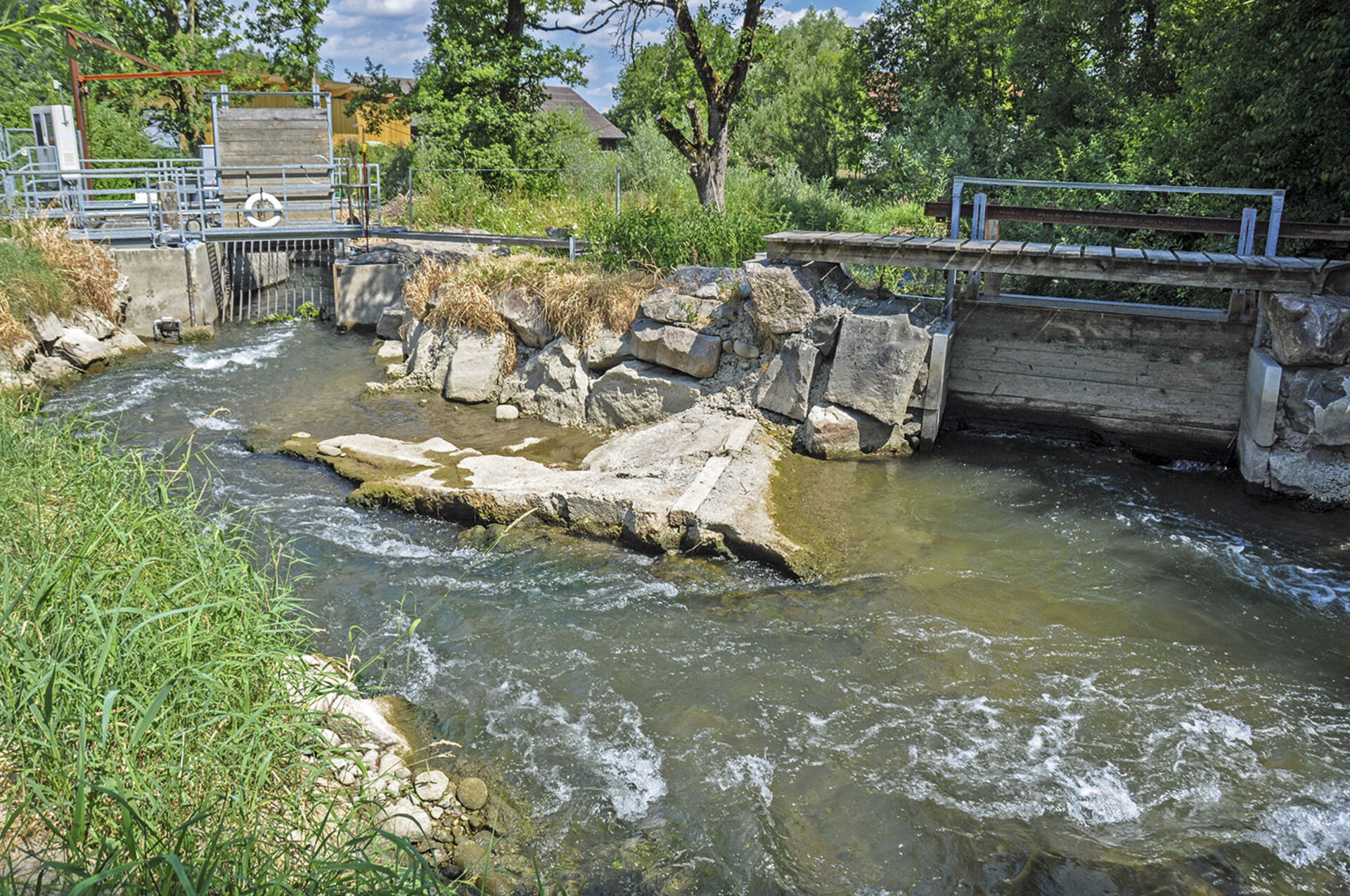  Der Einlauf der Anlage – links der revitalisierte Flusslauf und rechts das Hochwasserkorrekturwehr.  