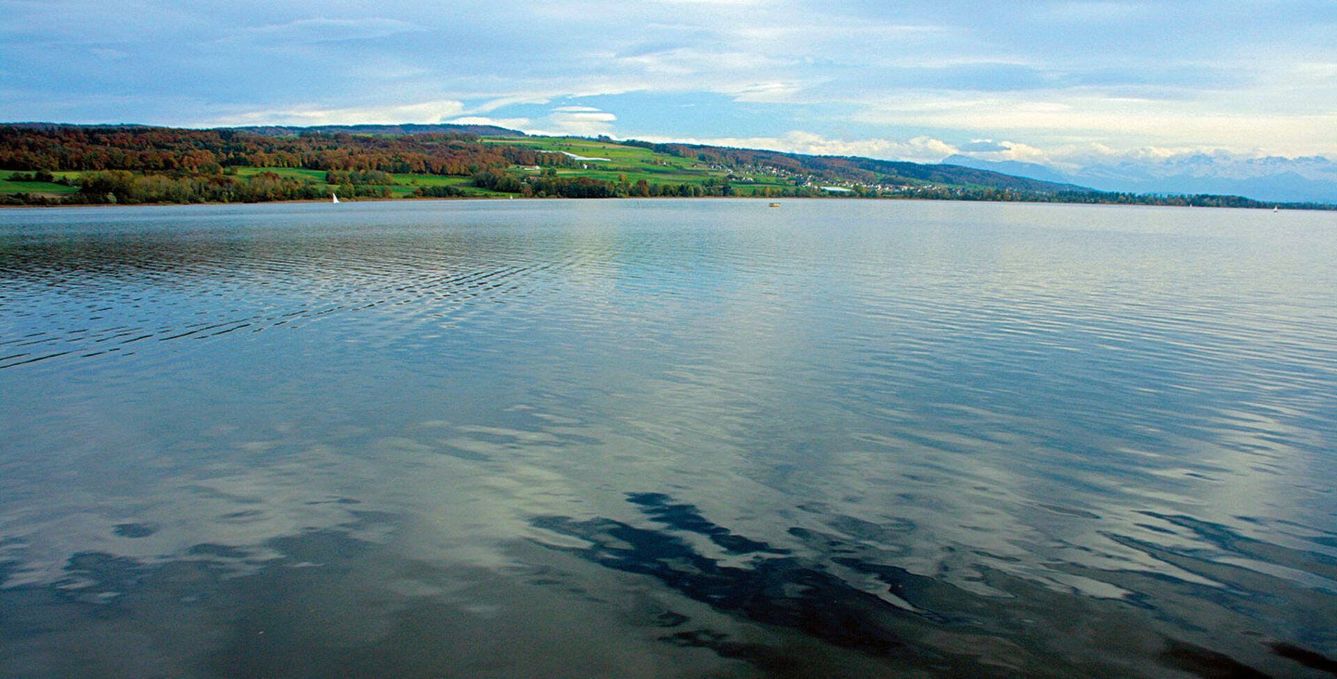  Der Hallwilersee war einer der am stärksten mit Nährstoffen belasteten Seen. Dies hat erhebliche Auswirkungen auf die Sauerstoffverhältnisse in grösseren Tiefen und kann die natürliche Fortpflanzung von lachsartigen Fischen stark einschränken oder verunmöglichen.  