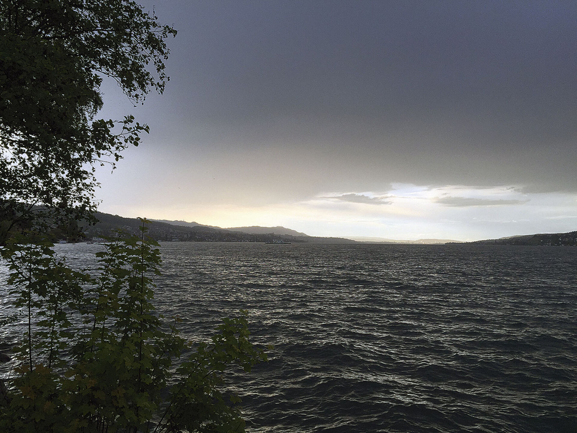  Ein Gewitter zieht auf über dem Zürichsee und zwingt uns, umzudisponieren. Statt mit dem Boot an den Bürkliplatz ins Seebecken zu fahren, müssen wir uns eine Stelle zum Uferfischen suchen.  