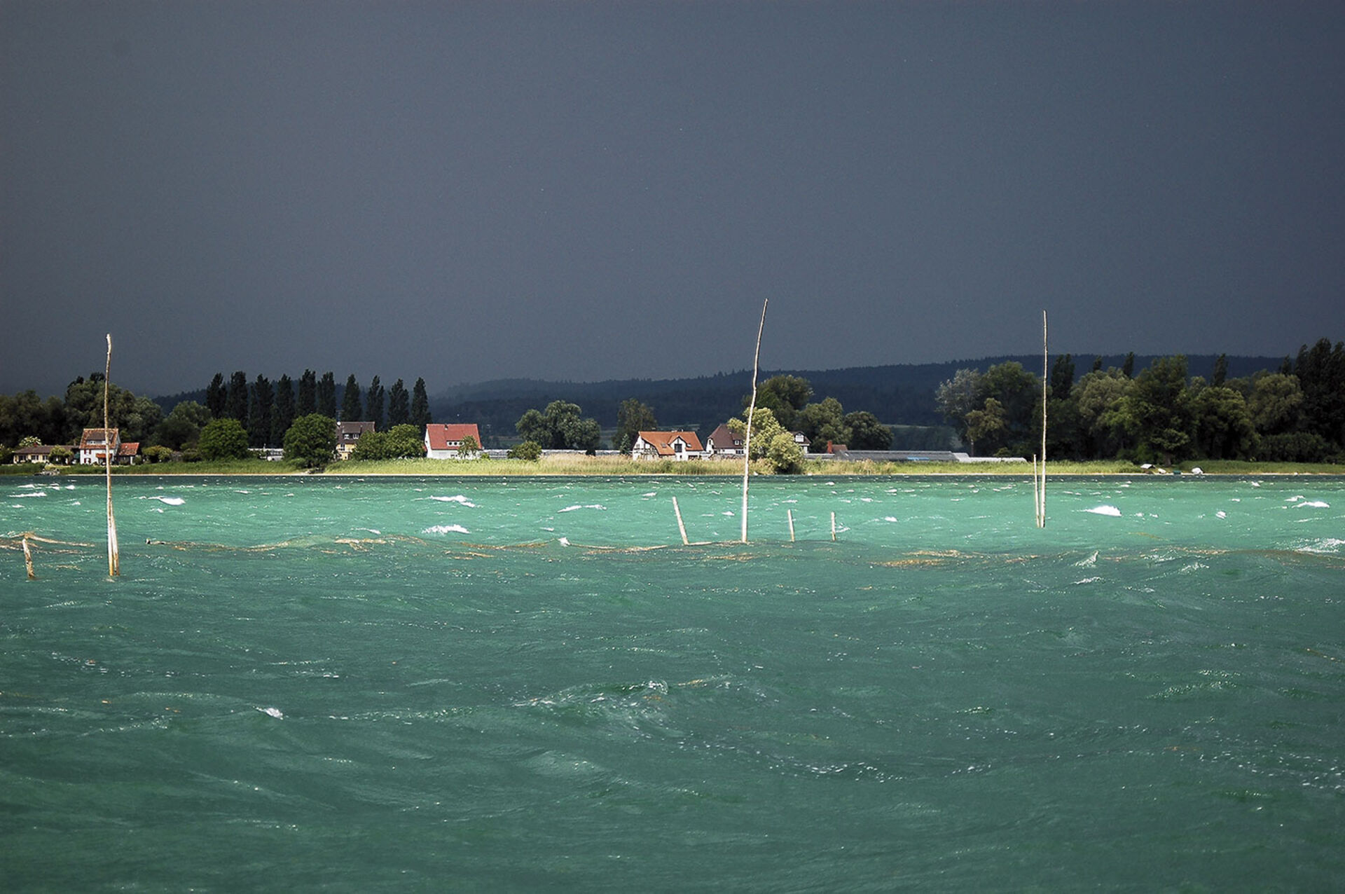  Hechtwetter zwischen Reichenau und Ermatingen. Im Vordergrund sind Fischreiser zu erkennen.  