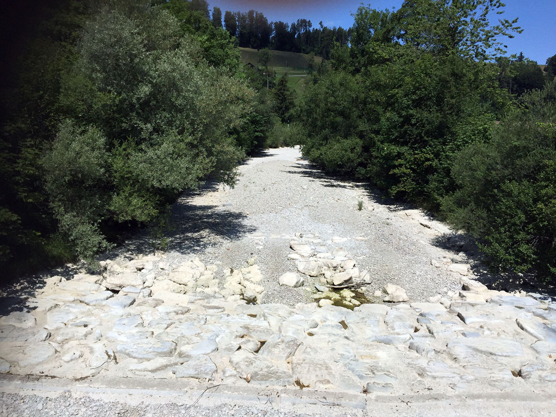  Einige Schweizer Flüsse sind über weite Abschnitte komplett trocken gefallen. So auch der Oberlauf der Töss (Bild vom 12. Juli 2018).  