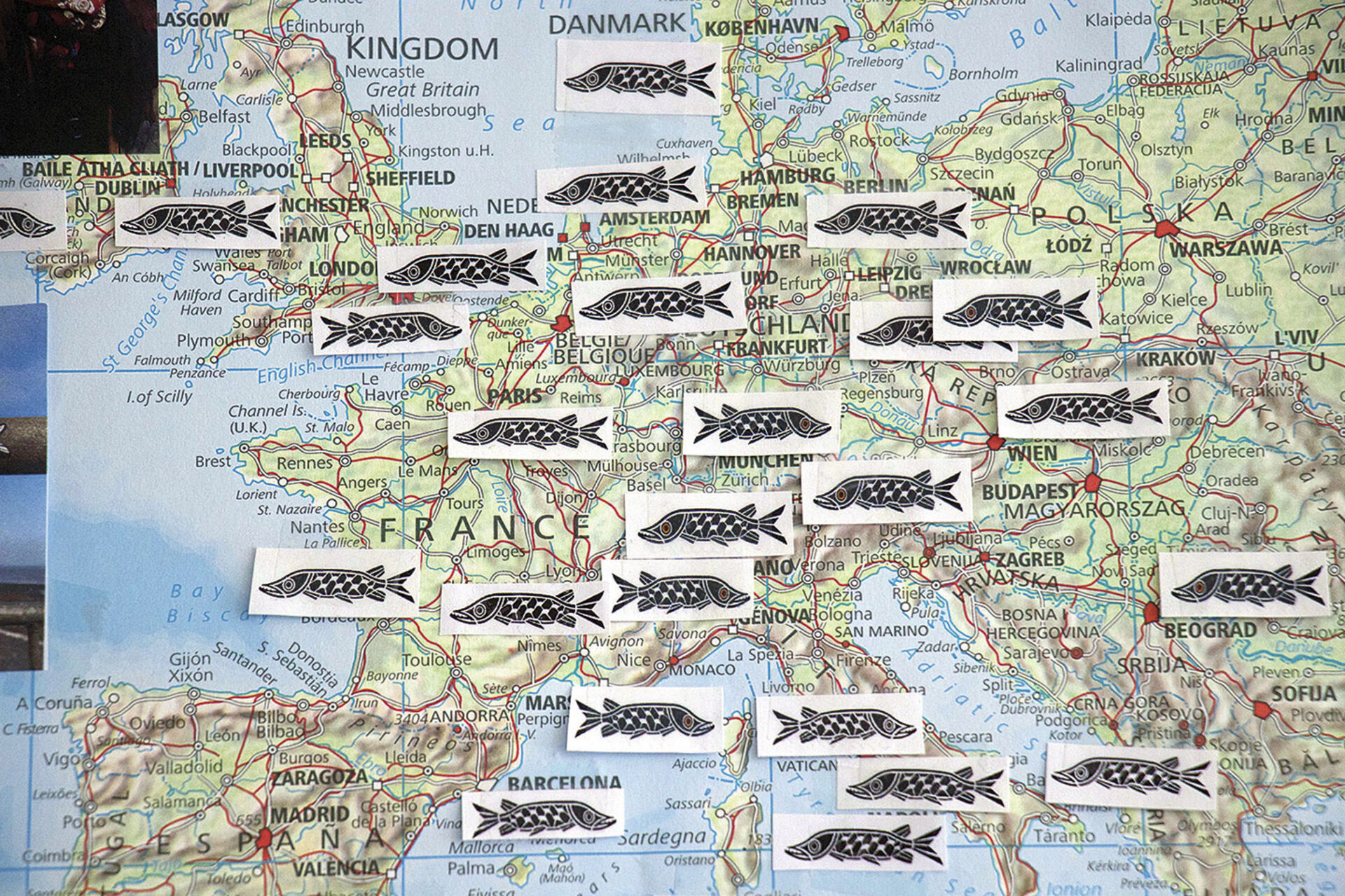  «Swim Koeder, swim!» Der Koeder schwimmt fleissig in Europa, wie diese Verbreitungskarte zeigt.  