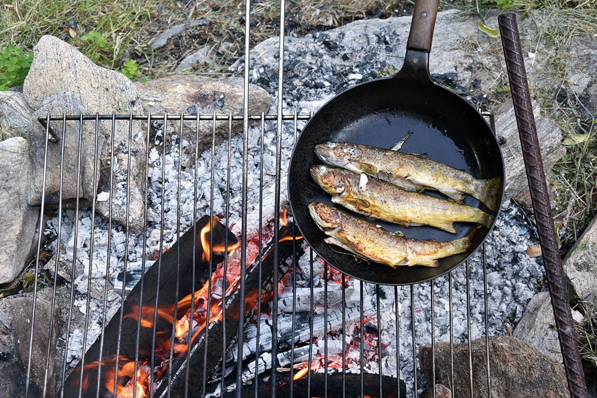 Ein leckeres Nachtessen beschliesst den schönen Fischertag.  