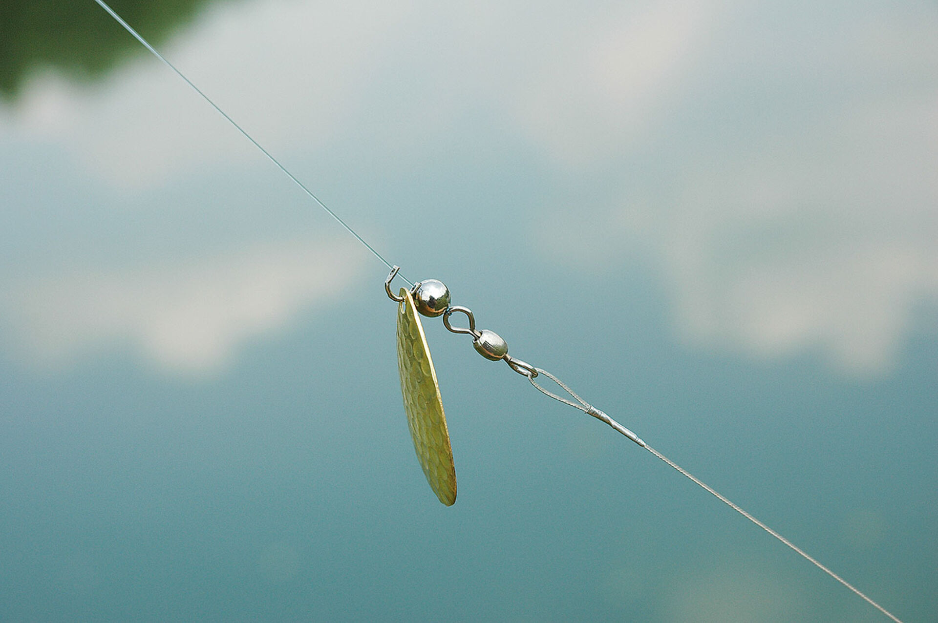  System-Tipp 2 | Glitzernde Versuchung: Ein vorgeschaltetes Spinnblatt kann den toten Köderfisch noch fängiger machen.  