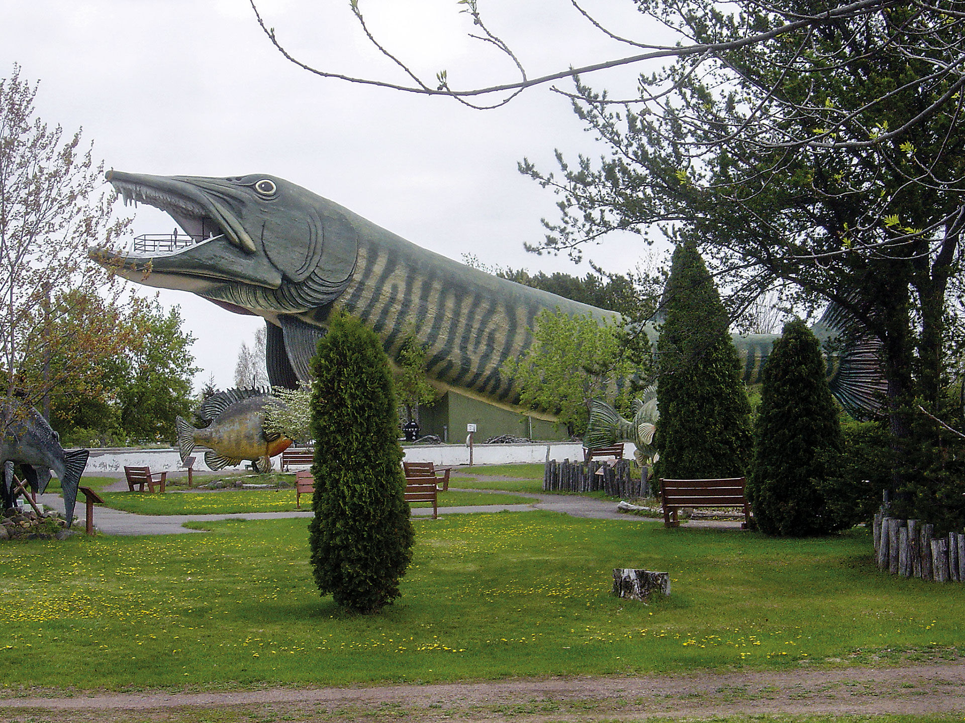  In den USA gibt es mehrere Museen, die sich einzig der Sportfischerei widmen. Die «Freshwater Fishing Hall of Fame» in einem kleinen Kaff im Bundesstaat Wisconsin zählt um die 100'000 Besucher pro Jahr.   