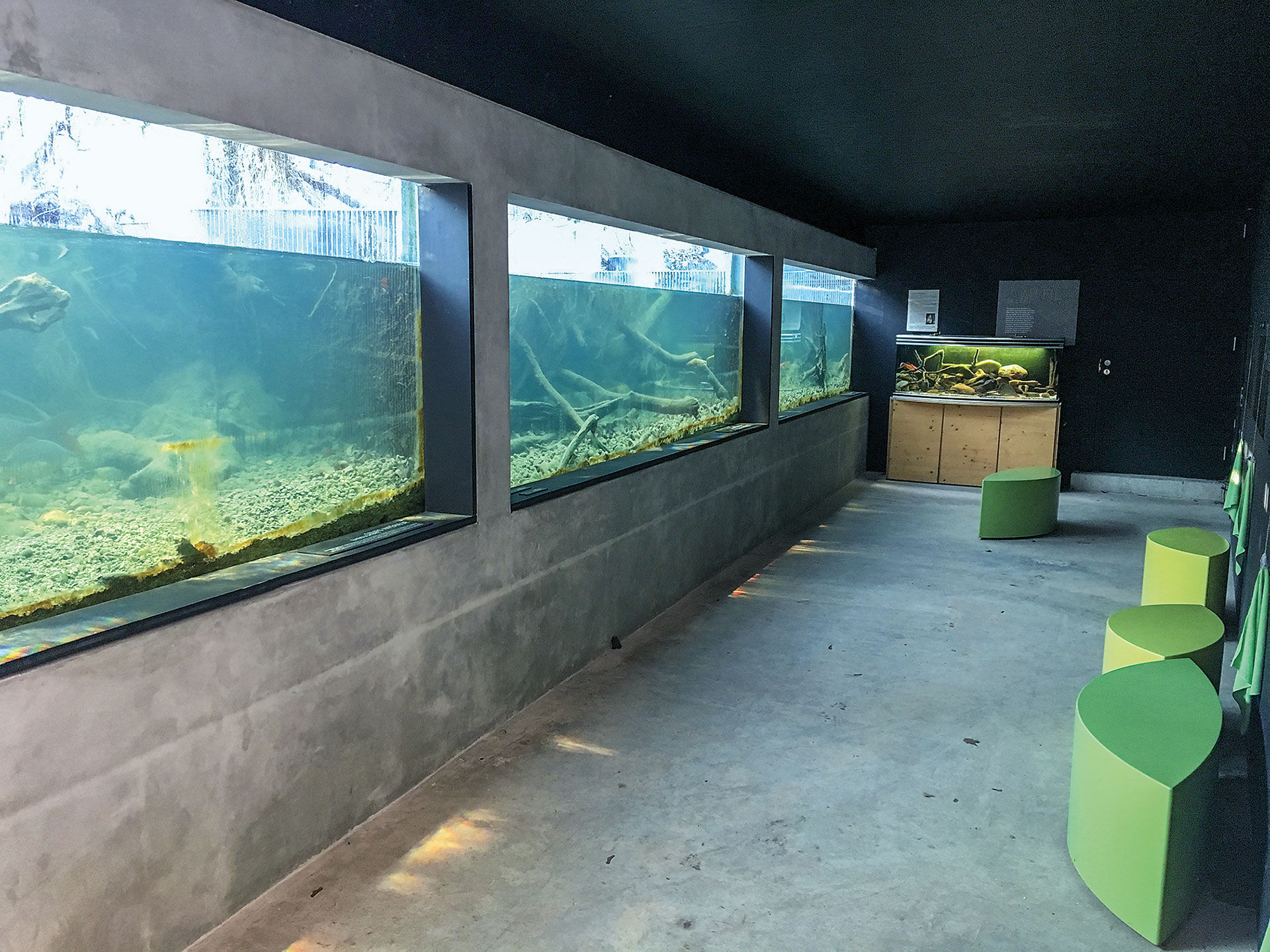  Eine freie Sicht in die Unterwasserwelt – so wie hier  im Maison de la Rivière – wäre beim Schweizer Fischzentrum eigentlich unverzichtbar.  