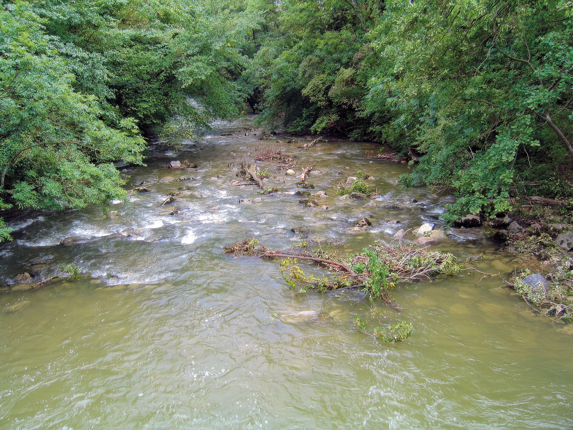  Die Aubonne, ein 12 km langer Zufluss des Genfersees.  