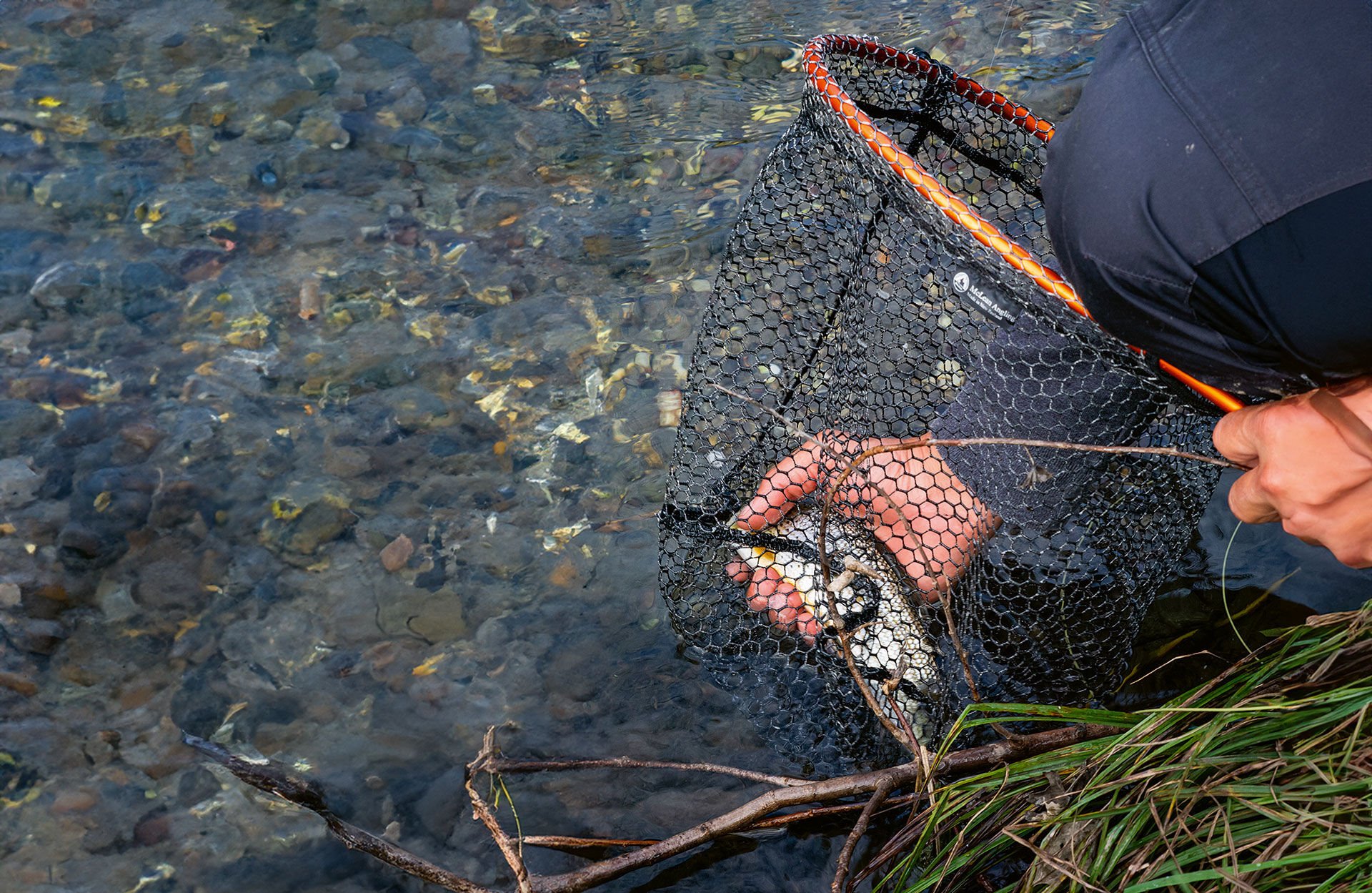  Ein gummierter Kescher schützt die  empfindliche Haut der Fische.  