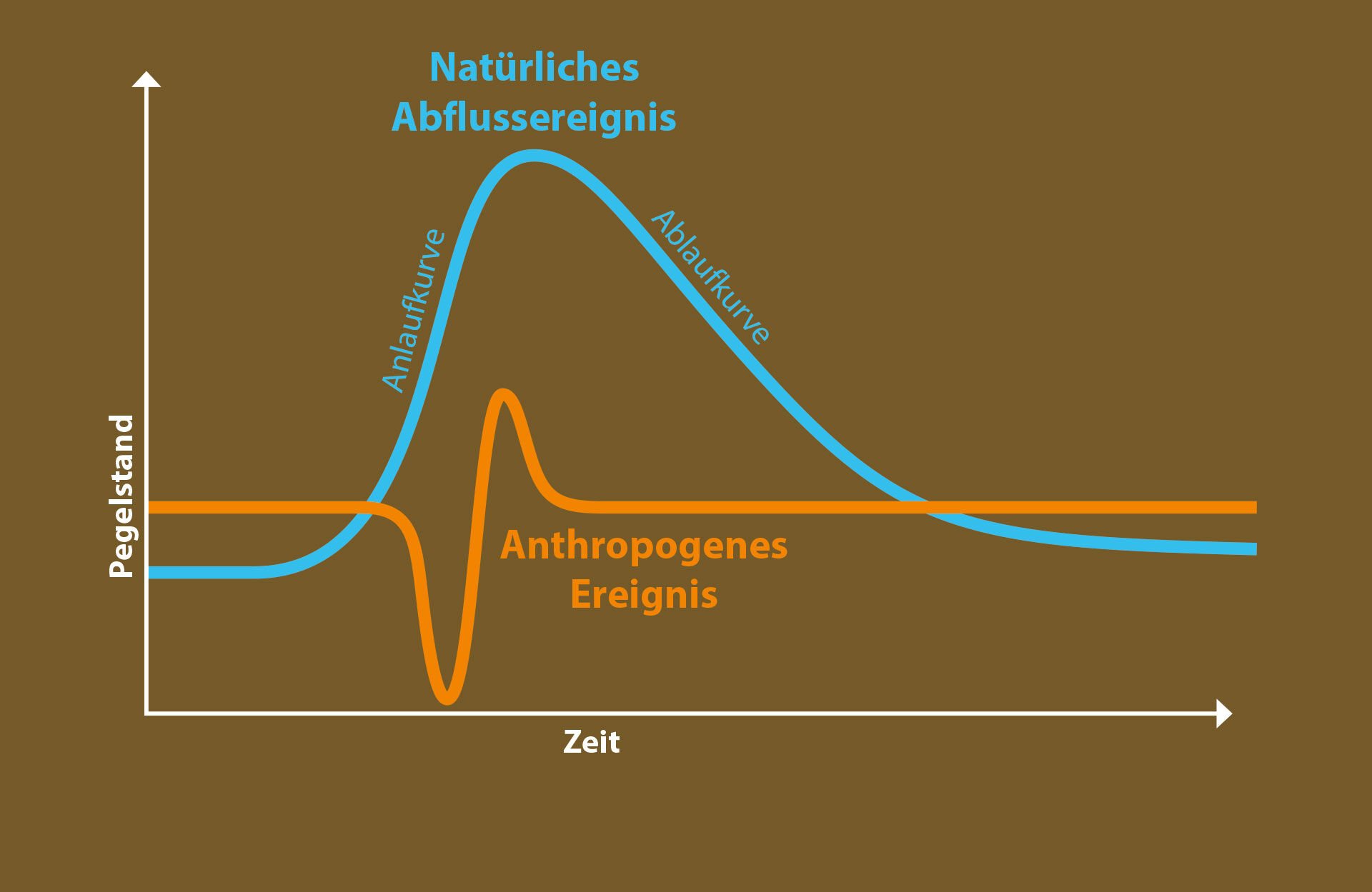  Idealisierte Form und Änderungsgeschwindigkeit einer natürlichen Abflussschwankung (Regen) mit steiler Anlauf- und flacherer Ablaufkurve sowie  eines anthropogenen «Pegelsprungs­».  