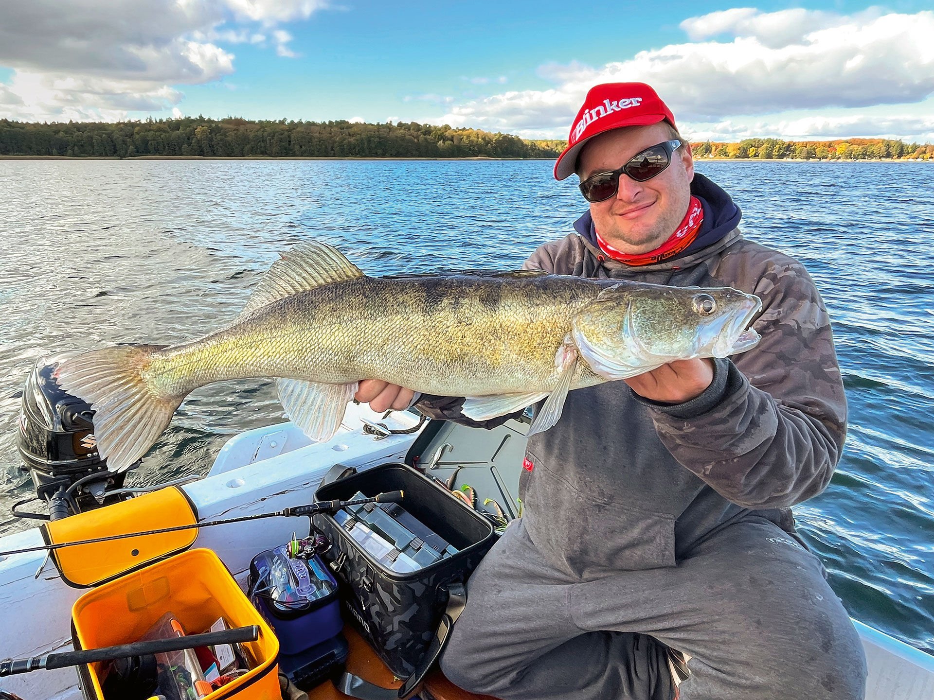  Zander legen sich tagsüber gerne am Übergang zum tiefen Wasser ab. Mit Beginn der Dämmerung jagen sie die Kante hinauf.  