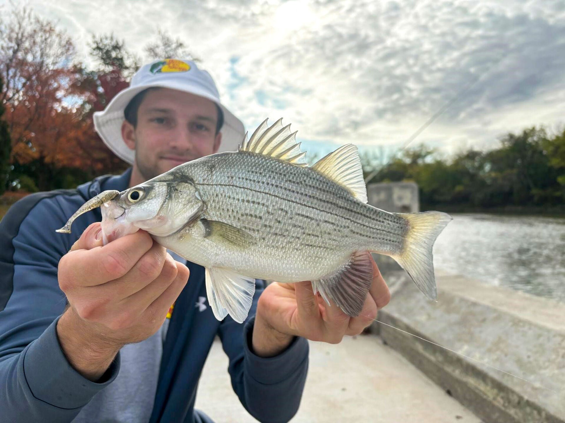  Mit dem White Bass schwimmt noch eine weitere attraktive Barschart in diesen Gewässern.   