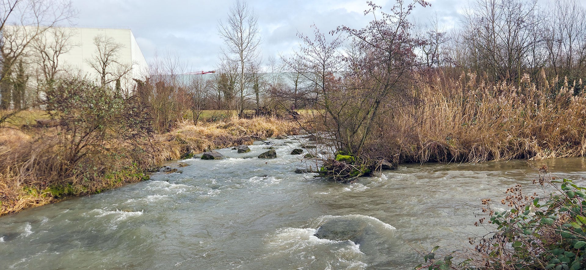  Der Zusammenfluss von Wyna und Suhre im Kanton Aargau. © Alexander Roschi  