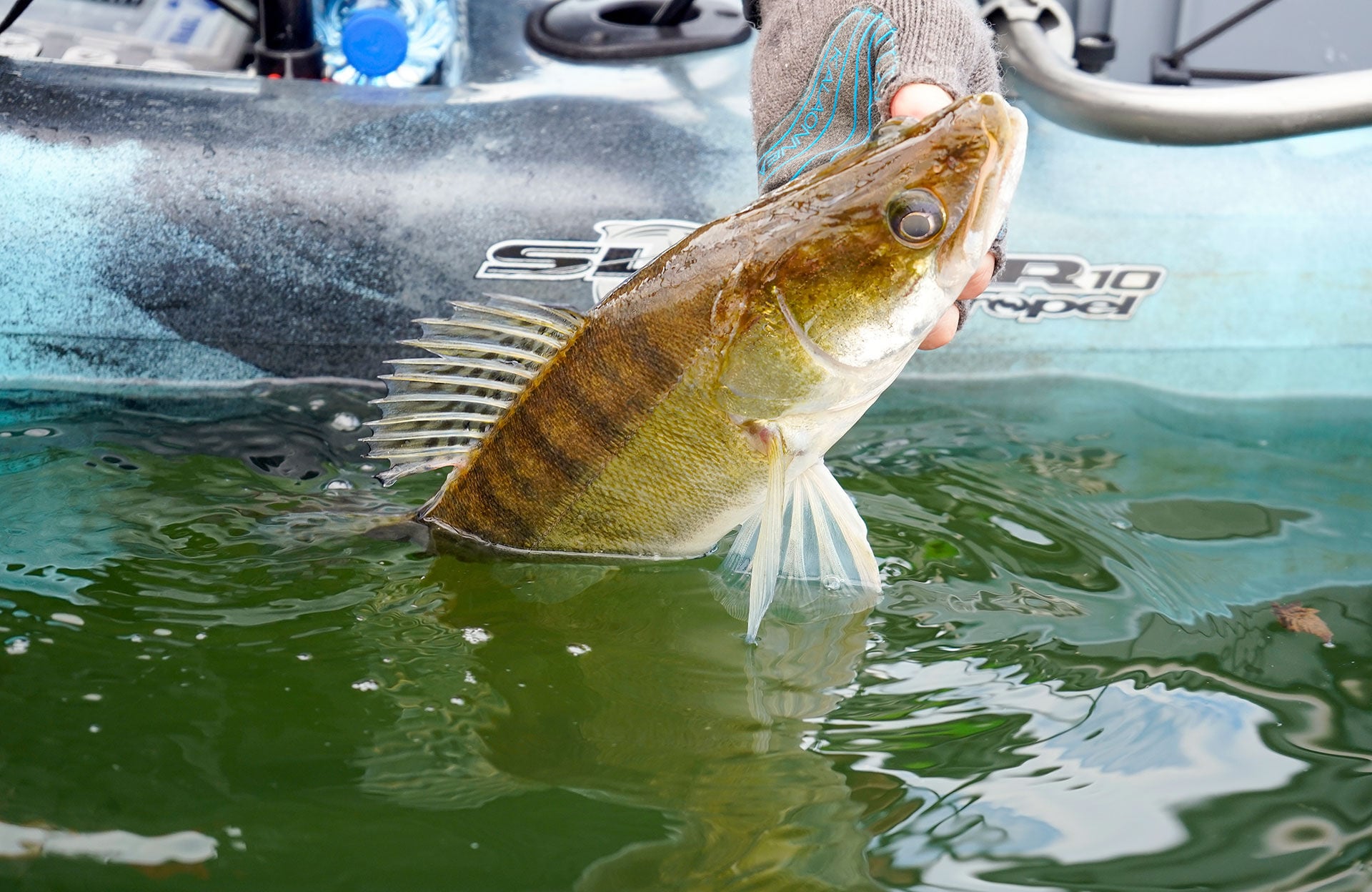  Auf dem Kajak ist man dem Wasser und den Fischen sehr nahe. Die Bisse und der Drill  sind dadurch besonders intensiv und unmittelbar.  