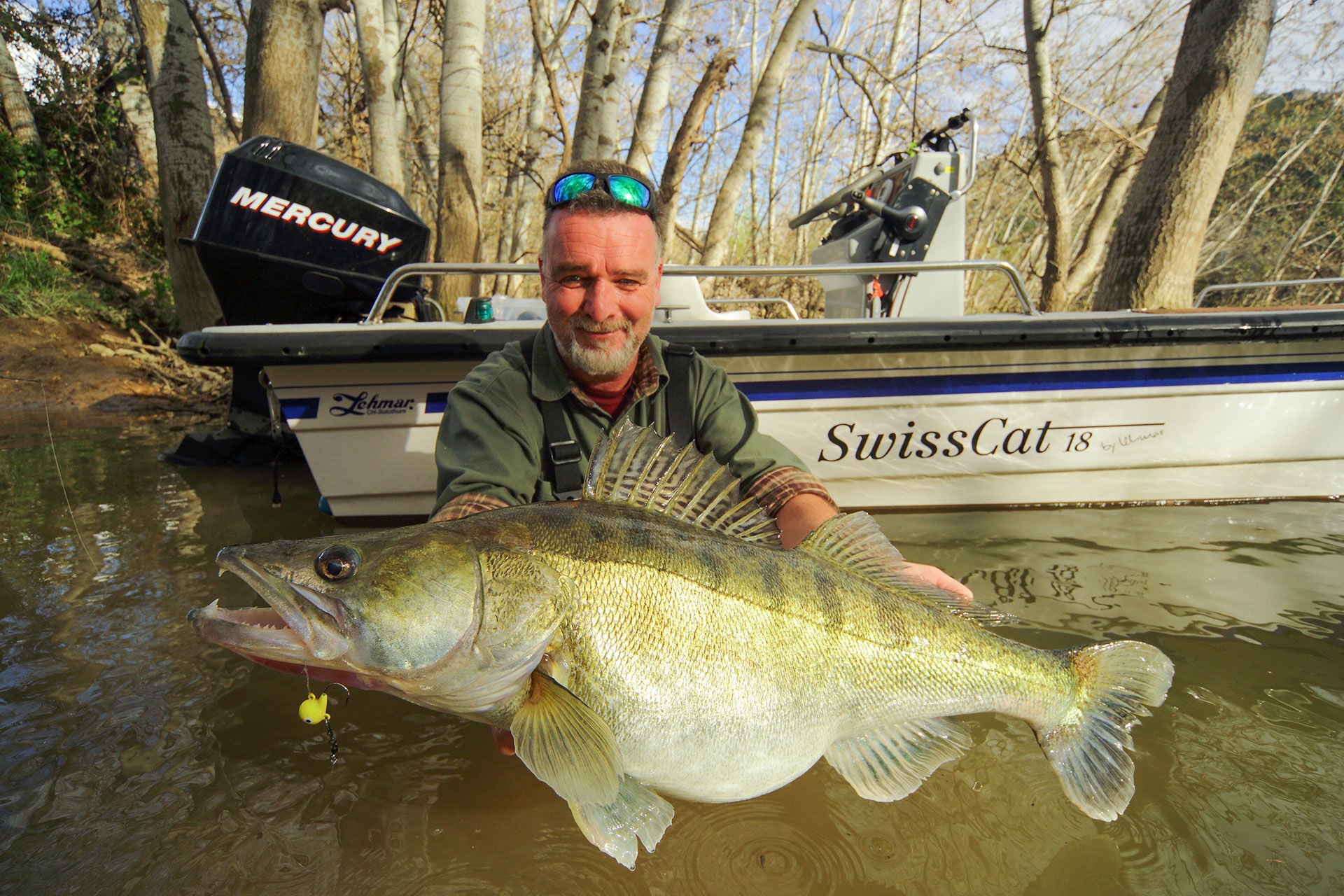  Der Autor stellt den Zandern seit 50 Jahren in ihrem ganzen Verbreitungsgebiet nach.  