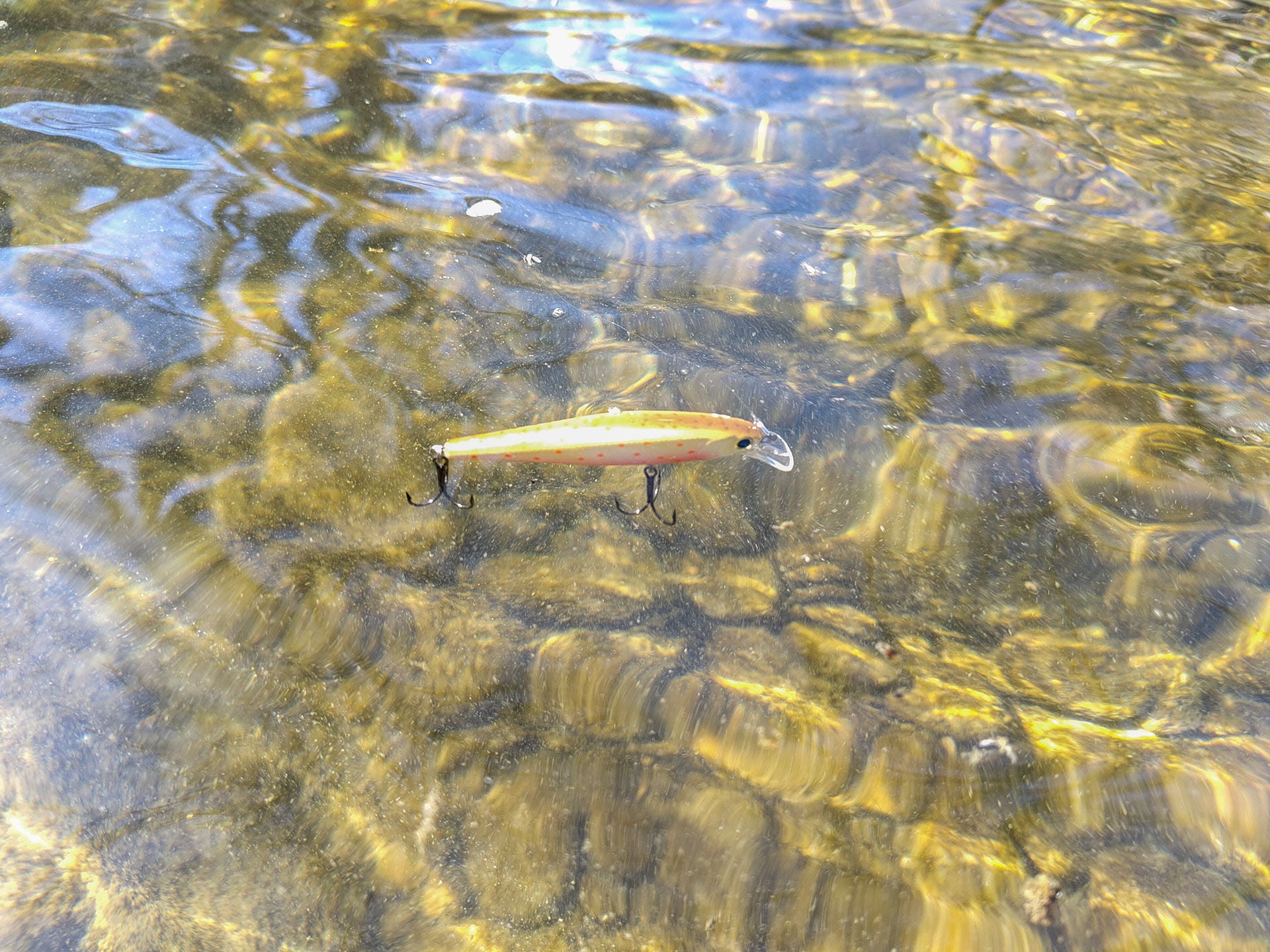  Zur Bachforellen-Eröffnung setze ich auf solche «Suspender», also im Wasser an Ort und Stelle schwebende Wobbler.  