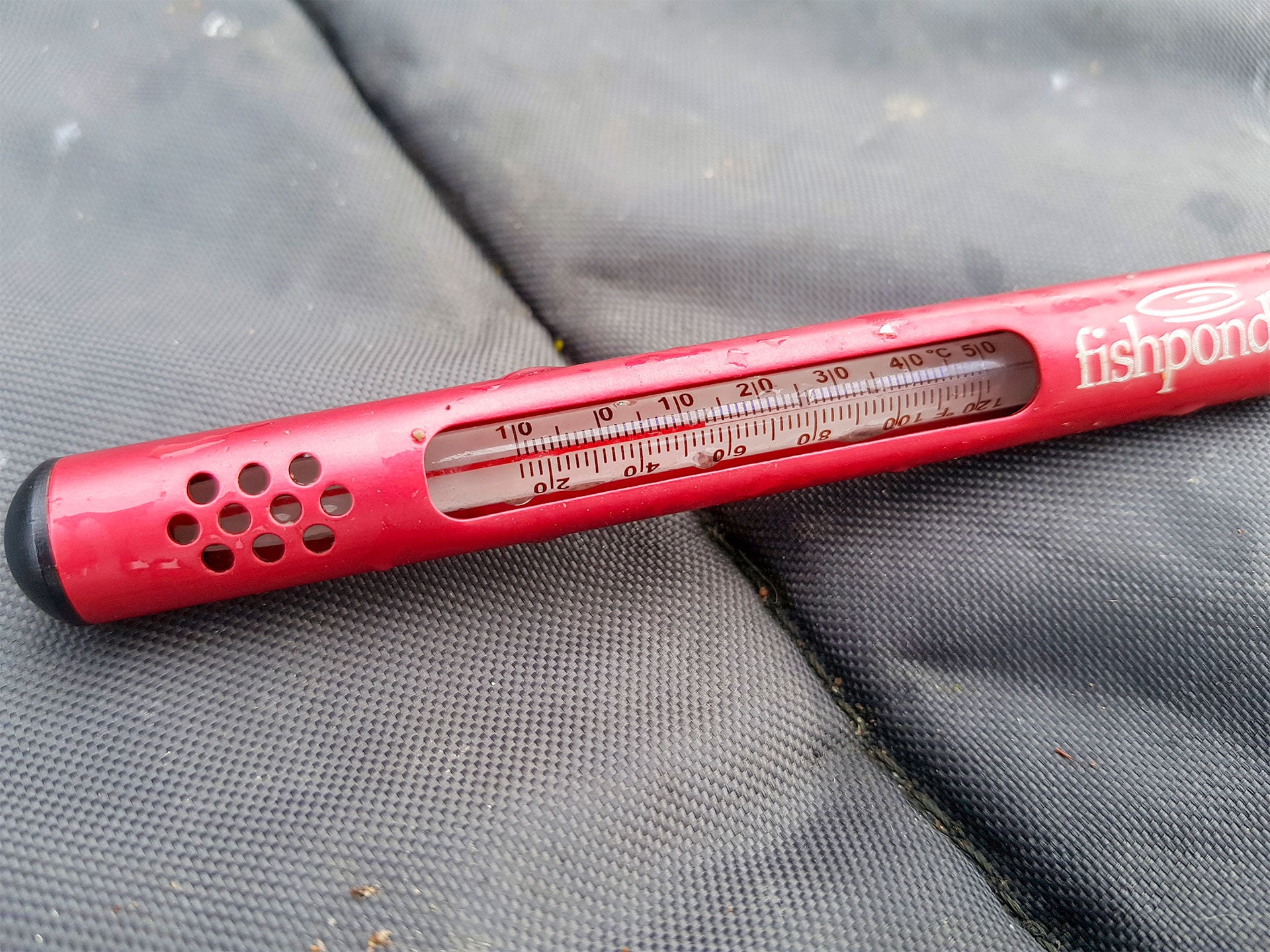  Wer die warmen Bereiche  des Gewässers findet, findet auch die  Schleien. Ab 12 Grad wirds richtig interessant.  