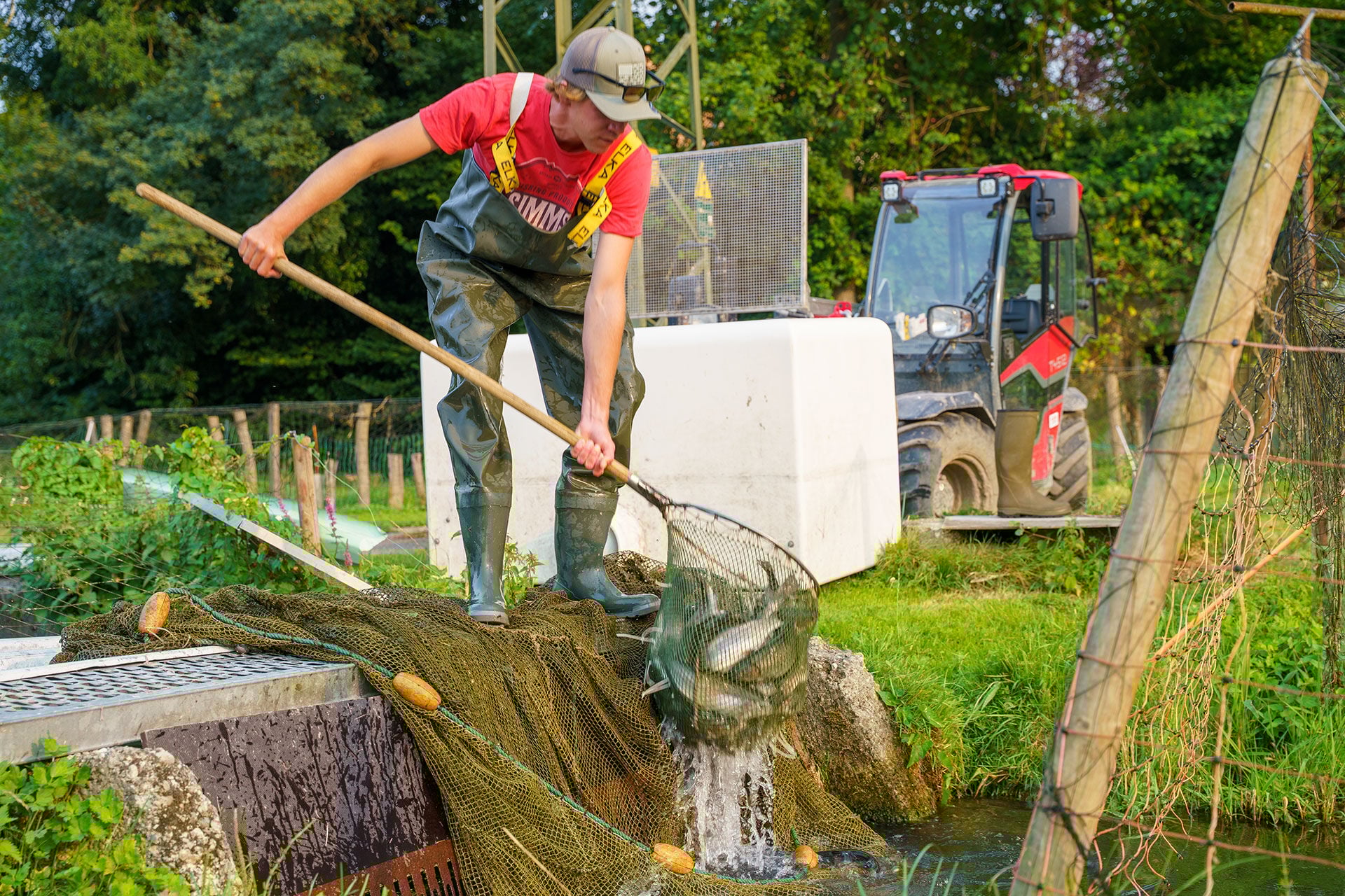 Betriebsleiter Ruben Bohner freut sich, dass die Aufzucht der Lachse hier gelingt.  