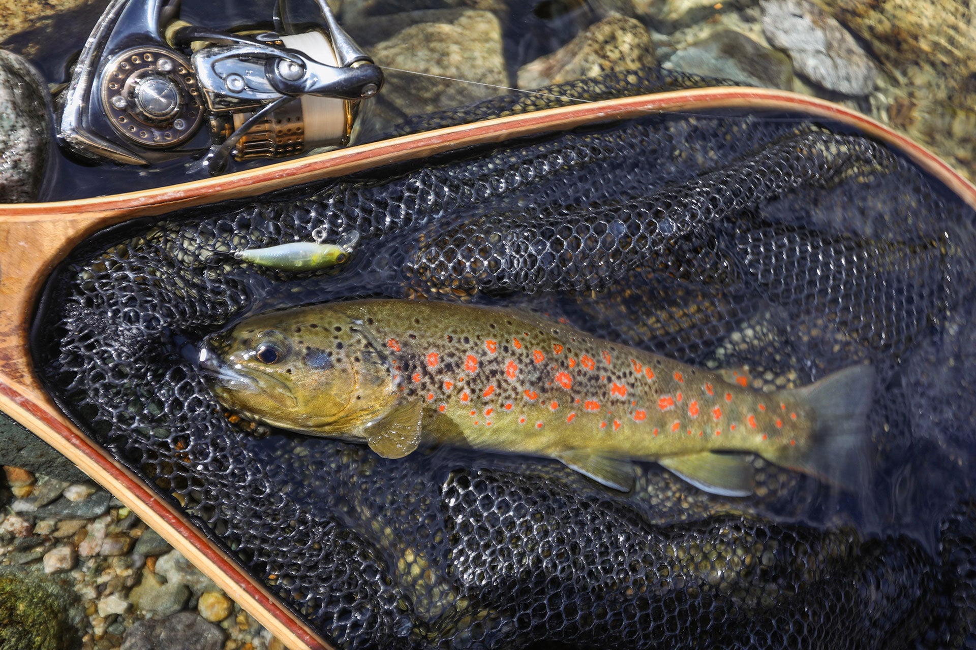  Gummierte Netze schonen die Fischhaut und darin verhedderte Haken lassen sich leichter lösen.  