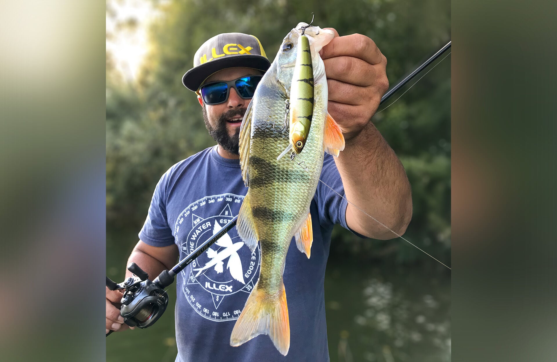  Beutefisch oder Rivale? Unklar – doch der vermeintliche Artgenosse als Köder überzeugte zum Anbiss.  