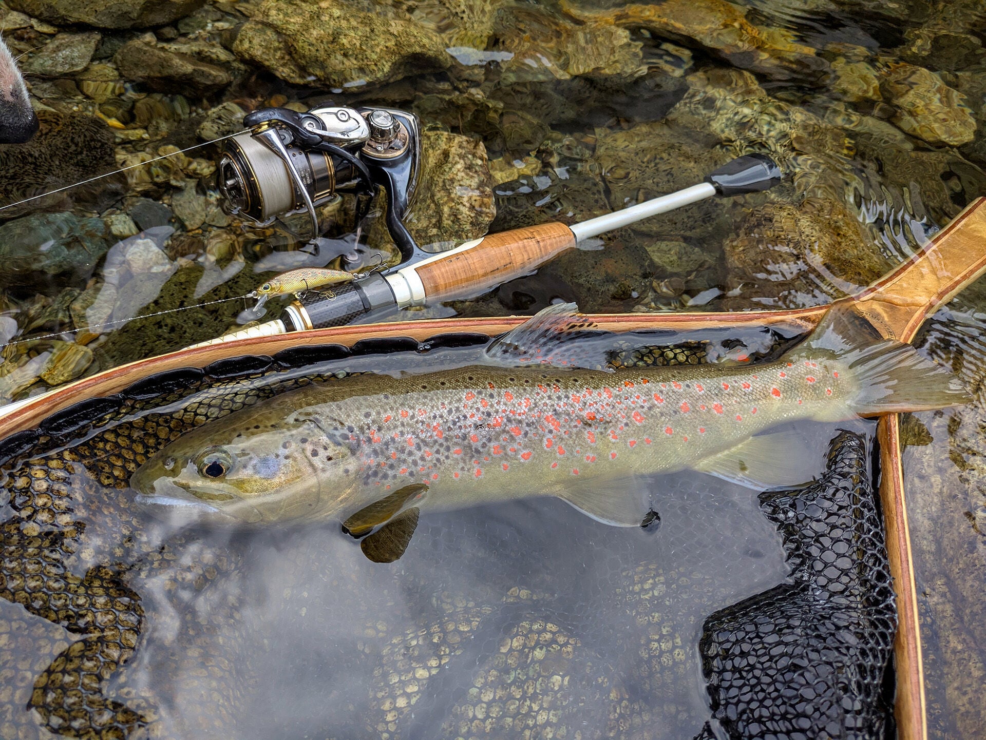 Auch hier hat es sich gelohnt, mit dem Köder dem Zielfisch-Original möglichst nahe zu kommen.  