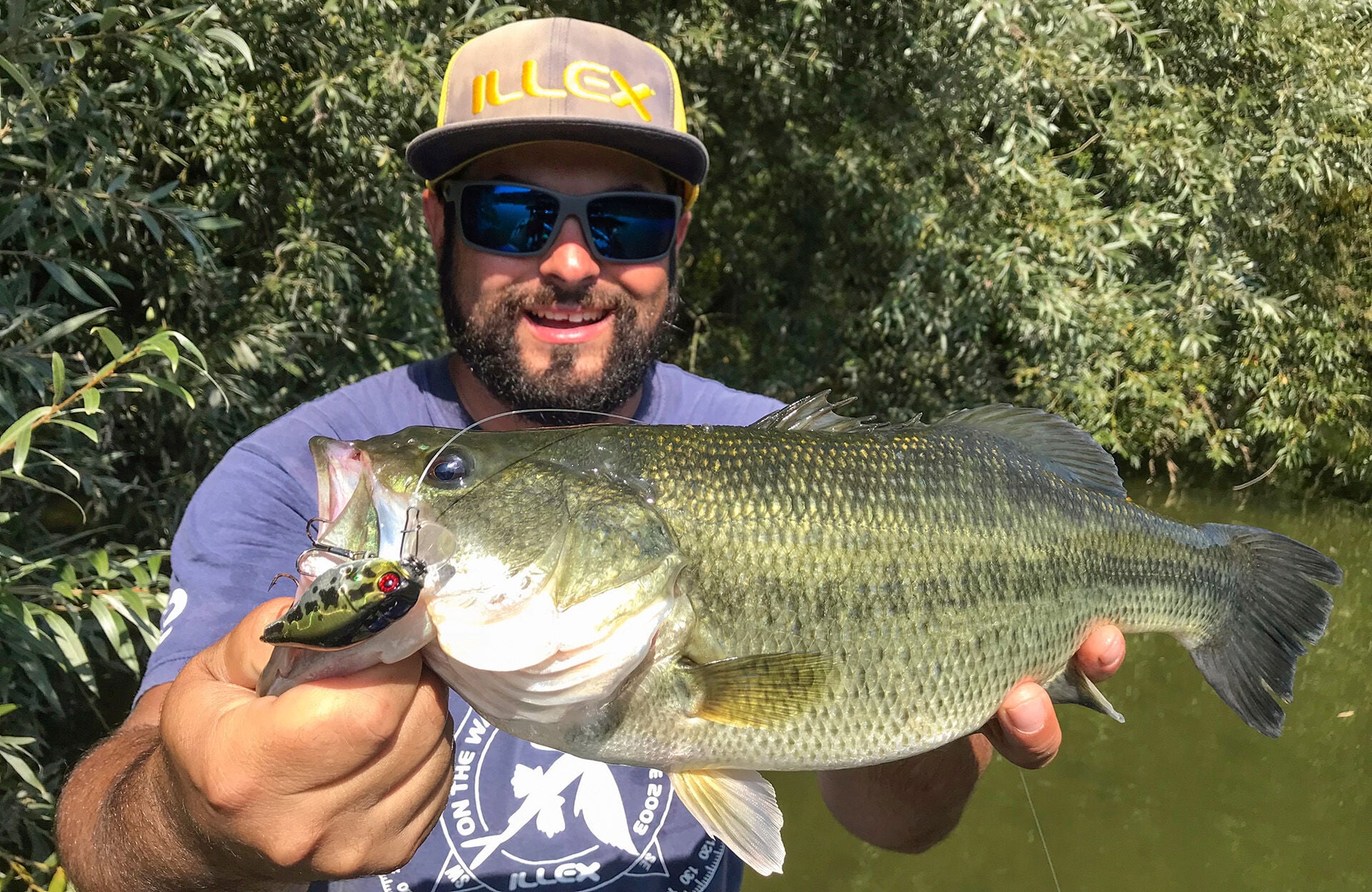  Wenn die Brutpflege des Black Bass vorüber ist, werden die Kleinen auch zur Beute.  
