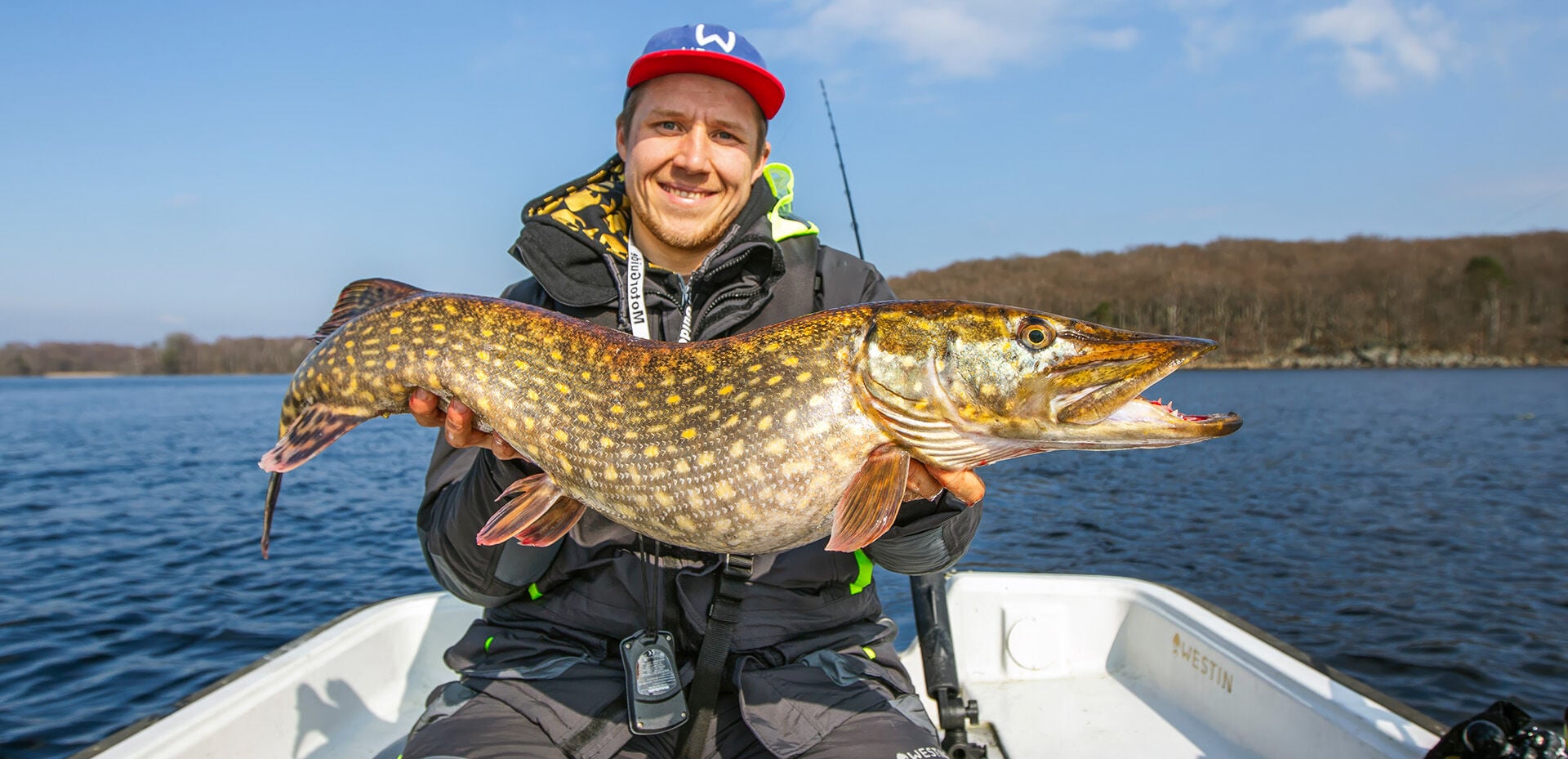  Hier hat es geklappt und ein grosser Hecht hat den Köder genommen.  
