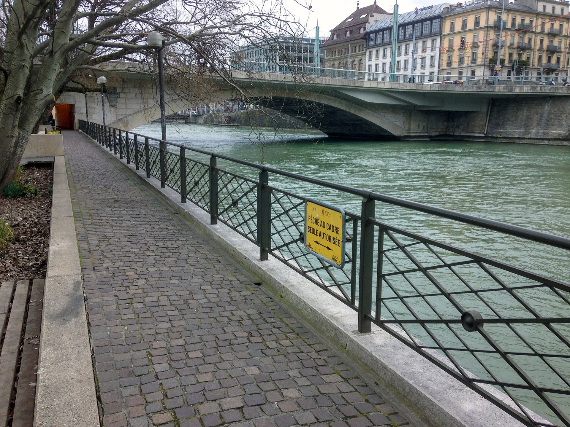  Die Rhone hat interessante Spots, an denen auch mit kapitalen Überraschungen gerechnet werden kann. Doch nicht überall ist das Fischen erlaubt.  