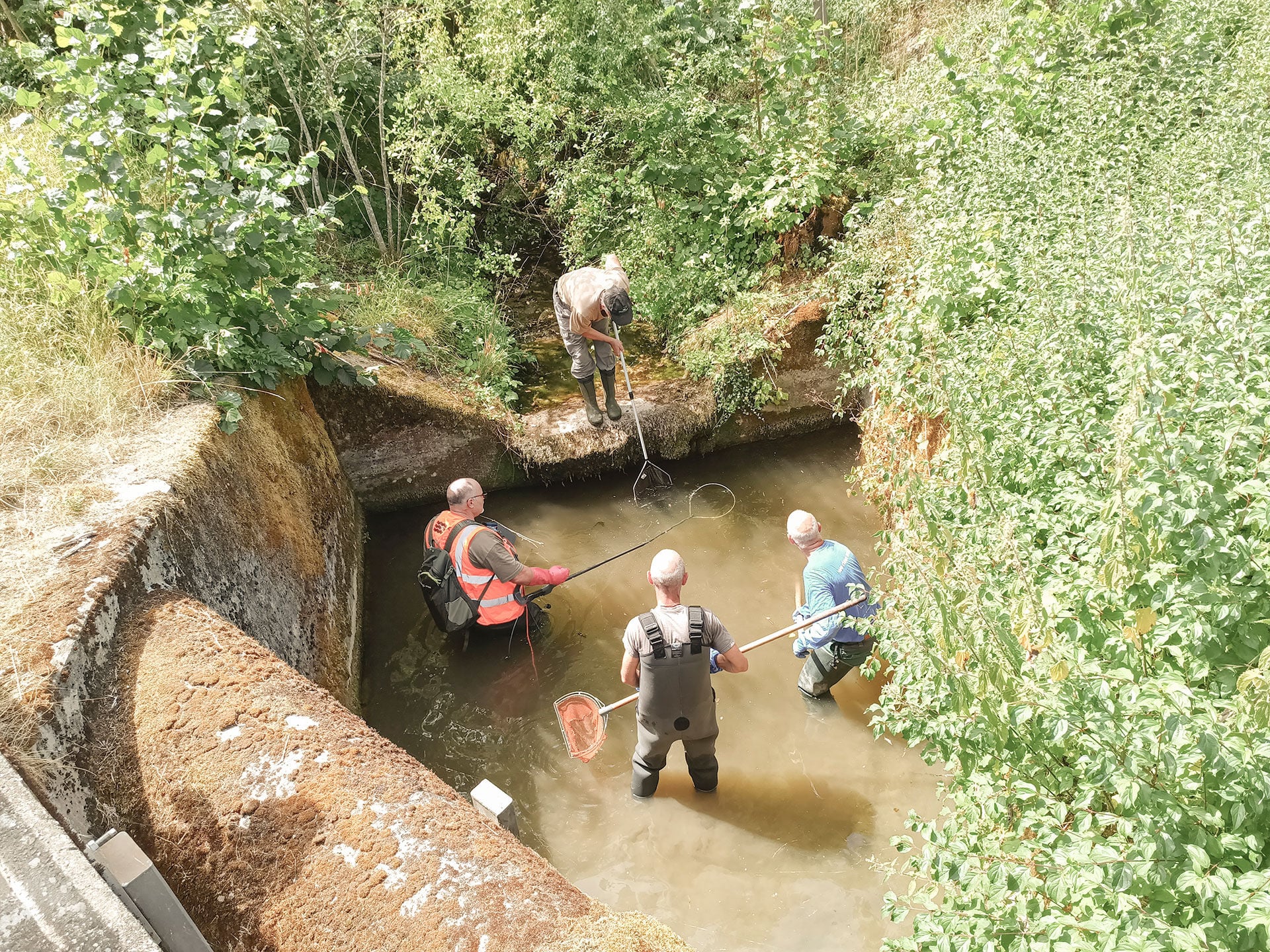  Fischer und Fischereiaufsicht standen schweizweit im Dauereinsatz: Hier am Guntenbach im Aargau.  