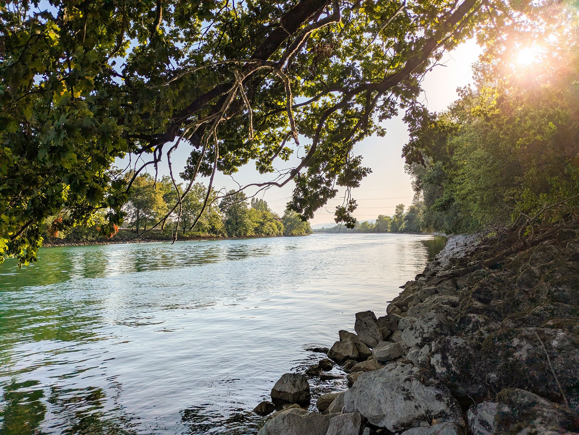  An sonnigen Tagen lohnt sich ein Versuch im Schatten ufernaher Bäume. © Ivan Valetny  
