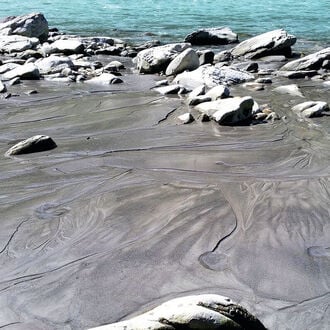 Häufige Sedimentspülungen gefährden Insektenvielfalt