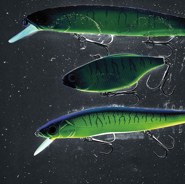 UV Licht – der Schlüssel zum Fisch