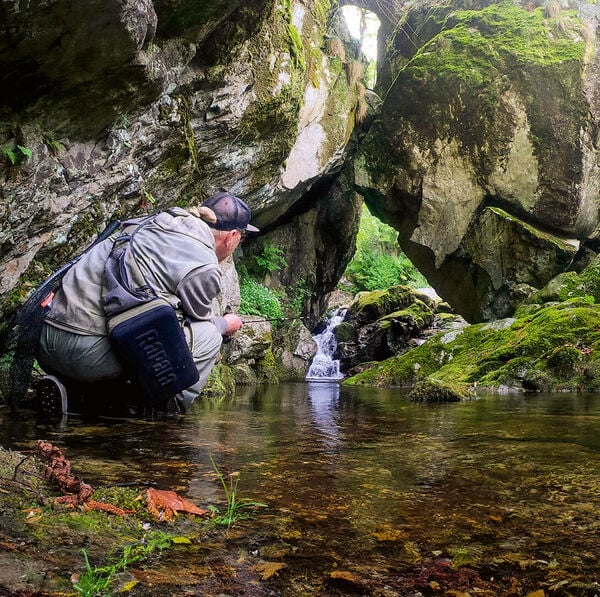 Spinnfischen an kleinen Bächen