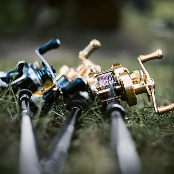 Vor- und Nachteile der Multirolle/Baitcaster